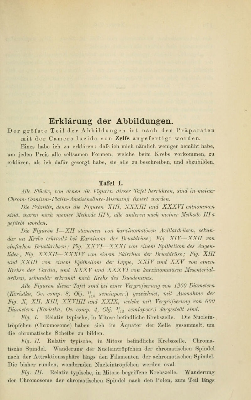 Erklärung der Abbildungen. Der gröfste Teil der Abbildungen ist nach den Präparaten mit der Camera lucida von Zeifs angefertigt worden. Eines habe ich zu erklären: dafs ich mich nämlich weniger bemüht habe, um jeden Preis alle seltsamen Formen, welche beim Krebs vorkommen, zu erklären, als ich dafür gesorgt habe, sie alle zu beschreiben, und abzubilden. Tafel I. Alle Stücke, von denen, die Figuren dieser Tafel herrühren, sind in meiner Chrom-Osmium-Platin-Ameisensäure-Mischung fixiert worden. Die Schnitte, denen die Figuren XIII, XXXIII und XXXVI entnommen sind, waren nach meiner Methode IIIb, edle anderen nach meiner Methode IIIa gefärbt worden. Die Figuren I—XII stammen von karzinomatösen Axillardrüsen, sekun- där an Krebs erkrankt bei Karzinom der Brustdrüse; Fig. XIV—XXII von einfachen Brustkrebsen; Fig. XXVI—XXXI von einem Epitheliom des Augen- lides; Fig. XXXII—XXXIV von einem Skirrhus der Brustdrüse; Fig. XIII und XXIII von einem Epitheliom der Lippe, XXIV und XXV von einem Krebse der Gardia, und XXXV und XXXVI von karzinomatösen Mcsentcrial- drüsen, sekundär erkrankt nach Krebs des Duodenums. Alle Figuren dieser Tafel sind bei einer Vergrößerung von 1200 Diametern (Koristka, Oc. comp. 8, Obj. 2/15 semiapoer.) gezeichnet, mit Ausnahme der Fig. X, XII, XIII, XXVIIII und XXIX, welche mit Vergröfserung von 600 Diametern {Koristka, Oc. comp. I, Obj. lj15 semiapoer.) dargestellt sind. Fig. L Relativ typische, in Mitose befindliche Krebszelle. Die Nuclein- tröpfchen (Chromosome) haben sich im Äquator der Zelle gesammelt, um die chromatische Scheibe zu bilden. Fig. II. Relativ typische, in Mitose befindliche Krebszelle. Chroma- tische Spindel. Wanderung der Nucleintröpfchen der chromatischen Spindel nach der Attraktionssphäre längs den Filamenten der achromatischen Spindel. Die bisher runden, wandernden Nucleintröpfchen werden oval. Fig. III. Relativ typische, in Mitose begriffene Krebszelle. Wanderung der Chromosome der chromatischen Spindel nach den Polen, zum Teil längs