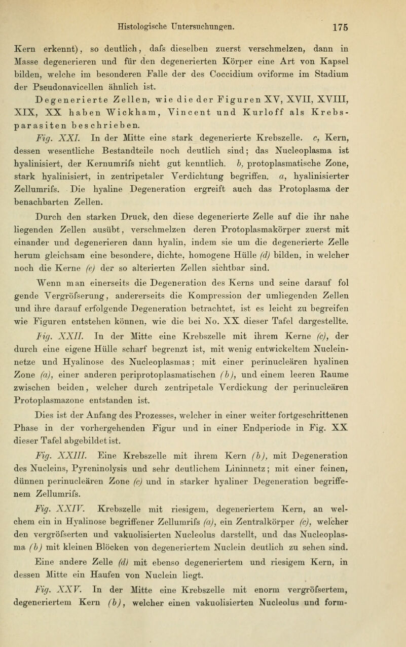 Kern erkennt), so deutlich, dafs dieselben zuerst verschmelzen, dann in Masse degenerieren und für den degenerierten Körper eine Art von Kapsel bilden, welche im besonderen Falle der des Coccidium oviforme im Stadium der Pseudonavicellen ähnlich ist. Degenerierte Zellen, wie die der Figuren XV, XVII, XVIII, XIX, XX haben Wickham, Vincent und Kurloff als Krebs- parasiten beschrieben. Fig. XXI. In der Mitte eine stark degenerierte Krebszelle, c, Kern, dessen wesentliche Bestandteile noch deutlich sind; das Nucleoplasma ist hyalinisiert, der Kernumrifs nicht gut kenntlich, b, protoplasmatische Zone, stark hyalinisiert, in zentripetaler Verdichtung begriffen, a, hyalinisierter Zellumrifs. Die hyaline Degeneration ergreift auch das Protoplasma der benachbarten Zellen. Durch den starken Druck, den diese degenerierte Zelle auf die ihr nahe liegenden Zellen ausübt, verschmelzen deren Protoplasmakörper zuerst mit einander und degenerieren dann hyalin, indem sie um die degenerierte Zelle herum gleichsam eine besondere, dichte, homogene Hülle (d) bilden, in welcher noch die Kerne (e) der so alterierten Zellen sichtbar sind. Wenn man einerseits die Degeneration des Kerns und seine darauf fol gende Vergröfserung, andererseits die Kompression der umliegenden Zellen und ihre darauf erfolgende Degeneration betrachtet, ist es leicht zu begreifen wie Figuren entstehen können, wie die bei No. XX dieser Tafel dargestellte. Fig. XXII. In der Mitte eine Krebszelle mit ihrem Kerne (c), der durch eine eigene Hülle scharf begrenzt ist, mit wenig entwickeltem Nuclein- netze und Hyalinose des Nucleoplasmas; mit einer perinucleären hyalinen Zone (a), einer anderen periprotoplasmatischen fbj, und einem leeren Räume zwischen beiden, welcher durch zentripetale Verdickung der perinucleären Protoplasmazone entstanden ist. Dies ist der Anfang des Prozesses, welcher in einer weiter fortgeschrittenen Phase in der vorhergehenden Figur und in einer Endperiode in Fig. XX dieser Tafel abgebildet ist. Fig. XXIII. Eine Krebszelle mit ihrem Kern (b), mit Degeneration des Nucleins, Pyreninolysis und sehr deutlichem Lininnetz; mit einer feinen, dünnen perinucleären Zone (c) und in starker hyaliner Degeneration begriffe- nem Zellumrifs. Fig. XXIV. Krebszelle mit riesigem, degeneriertem Kern, an wel- chem ein in Hyalinose begriffener Zellumrifs (a), ein Zentralkörper fc), welcher den vergröfserten und vakuolisierten Nucleolus darstellt, und das Nucleoplas- ma (b) mit kleinen Blöcken von degeneriertem Nuclein deutlich zu sehen sind. Eine andere Zelle (d) mit ebenso degeneriertem und riesigem Kern, in dessen Mitte ein Haufen von Nuclein liegt. Fig. XXV. In der Mitte eine Krebszelle mit enorm vergröfsertem, degeneriertem Kern (b), welcher einen vakuolisierten Nucleolus und form-