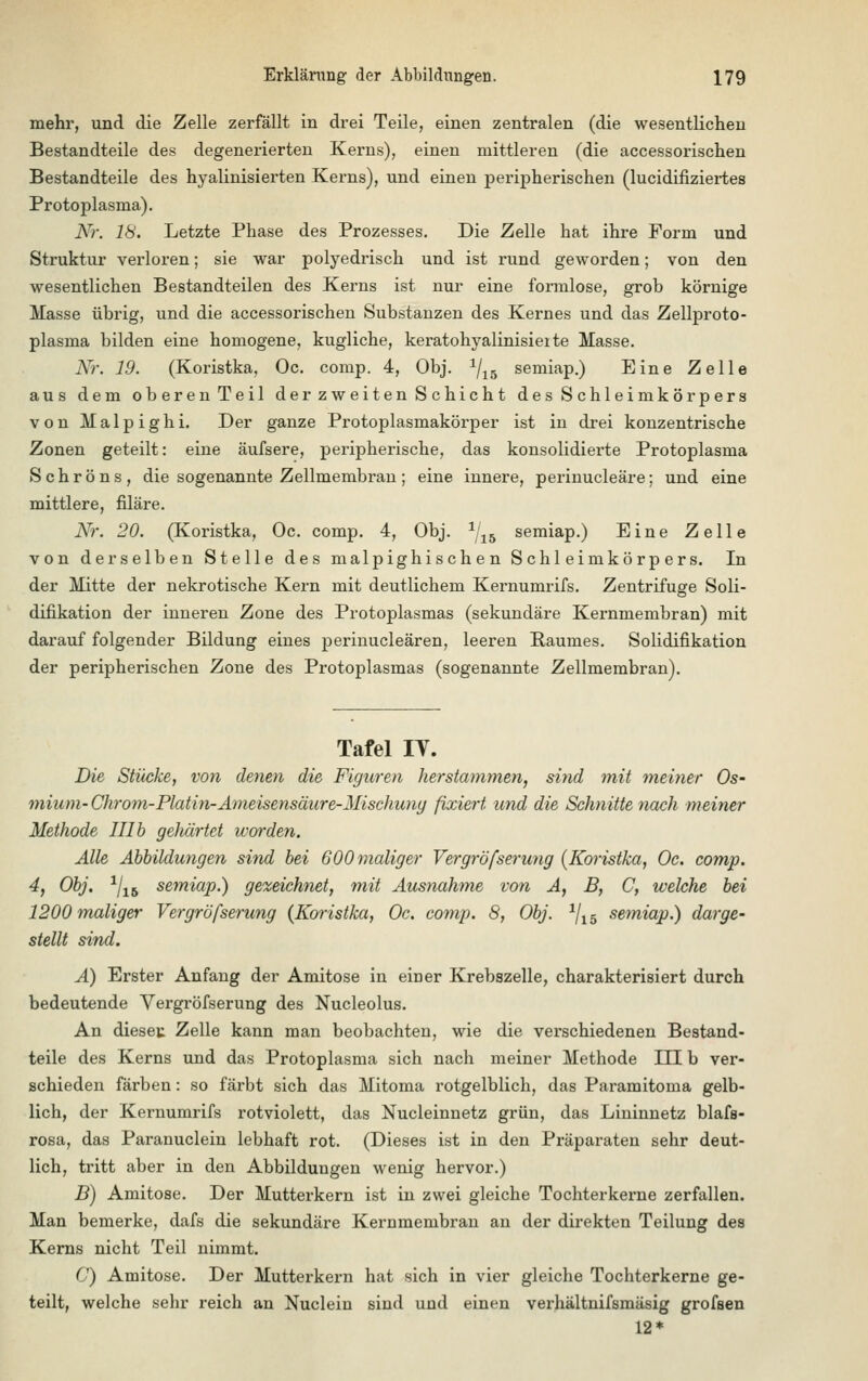 mehr, und die Zelle zerfällt in drei Teile, einen zentralen (die wesentlichen Bestandteile des degenerierten Kerns), einen mittleren (die accessorischen Bestandteile des hyalinisierten Kerns), und einen peripherischen (lucidifiziertes Protoplasma). Nr. 18. Letzte Phase des Prozesses. Die Zelle hat ihre Form und Struktur verloren; sie war polyedrisch und ist rund geworden; von den wesentlichen Bestandteilen des Kerns ist nur eine formlose, groh körnige Masse übrig, und die accessorischen Substanzen des Kernes und das Zellproto- plasma bilden eine homogene, kugliche, keratohyalinisieite Masse. Nr. 19. (Koristka, Oc. comp. 4, Obj. 1/15 semiap.) Eine Zelle aus dem oberenTeil der zweiten Schicht des Schleimkörpers von Malpighi. Der ganze Protoplasmakörper ist in drei konzentrische Zonen geteilt: eine äufsere, peripherische, das konsolidierte Protoplasma Schröns, die sogenannte Zellmembran; eine innere, perinucleäre; und eine mittlere, filäre. Nr. 20. (Koristka, Oc. comp. 4, Obj. 1j16 semiap.) Eine Zelle von derselben Stelle des malpighischen Schleimkörpers. In der Mitte der nekrotische Kern mit deutlichem Kernumrifs. Zentrifuge Soli- difikation der inneren Zone des Protoplasmas (sekundäre Kernmembran) mit darauf folgender Bildung eines perinucleären, leeren Raumes. Solidifikation der peripherischen Zone des Protoplasmas (sogenannte Zellmembran). Tafel IT. Die Stücke, von denen die Figuren herstammen, sind mit meiner Os- mium-Chrom-Platin-Ameisensäure-Mischung fixiert und die Schnittenach meiner Methode III b gehärtet worden. Alle Abbildungen sind bei 600 maliger Vergröfserung (Koristka, Oc. comp. 4, Obj. 1jlb semiap.) gezeichnet, mit Ausnahme von A, B, C, welche bei 1200 maliger Vergröfserung {Koristka, Oc. comp. 8, Obj. 1/l5 semiap.) darge- stellt sind. A) Erster Anfang der Amitose in einer Krebszelle, charakterisiert durch bedeutende Vergröfserung des Nucleolus. An dieseu Zelle kann man beobachten, wie die verschiedenen Bestand- teile des Kerns und das Protoplasma sich nach meiner Methode Du b ver- schieden färben: so färbt sich das Mitoma rotgelblich, das Paramitoma gelb- lich, der Kernumrifs rotviolett, das Nucleinnetz grün, das Lininnetz blafa- rosa, das Paranuclein lebhaft rot. (Dieses ist in den Präparaten sehr deut- lich, tritt aber in den Abbildungen wenig hervor.) B) Amitose. Der Mutterkern ist in zwei gleiche Tochterkerne zerfallen. Man bemerke, dafs die sekundäre Kernmembran an der direkten Teilung des Kerns nicht Teil nimmt. C) Amitose. Der Mutterkern hat sich in vier gleiche Tochterkerne ge- teilt, welche sehr reich an Nuclein sind und einen verhältnifsmäsig grofsen 12*