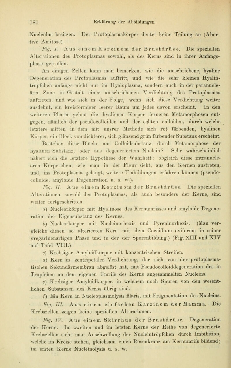 Nucleolus besitzen. Der Protoplasmakörper deutet keine Teilung an (Aboi'- tive Amitose). Fig. I. Aus einem Karzinom der Brustdrüse. Die speziellen Alterationen des Protoplasmas sowohl, als des Kerns sind in ihrer Anfangs- phase getroffen. An einigen Zellen kann man bemerken, wie die umschriebene, hyaline Degeneration des Protoplasmas auftritt, und wie die sehr kleinen Hyalin- tröpfchen anfangs nicht nur im Hyaloplasma, sondern auch in der paranucle- ären Zone in Gestalt einer umschriebenen Verdichtung des Protoplasmas auftreten, und wie sich in der Folge, wenn sich diese Verdichtung weiter ausdehnt, ein kreisförmiger leerer Raum um jedes davon erscheint. In den weiteren Phasen gehen die hyalienen Körper ferneren Metamorphosen ent- gegen, nämlich der pseudocolloiden und der echten colloiden, durch welche letztere mitten in dem mit unsrer Methode sich rot färbenden, hyalinen Körper, ein Block von dichterer, sich glänzend grün färbender Substanz erscheint. Bestehen diese Blöcke aus Colloidsubstanz, durch Metamorphose der hyalinen Substanz, oder aus degeneriertem Nuclein ? Sehr wahrscheinlich nähert sich die letztere Hypothese der Wahrheit: obgleich diese intranucle- ären Körperchen, wie man in der Figur sieht, aus den Kernen austreten, und, ins Protoplasma gelangt, weitere Umbildungen erfahren können (pseudo- colloide, amyloide Degeneration u. s. w.). Mg. IL Aus einem Karzinom der Brustdrüse. Die speziellen Alterationen, sowohl des Protoplasmas, als auch besonders der Kerne, sind weiter fortgeschritten. a) Nuclearkörper mit Hyalinose des Kernumrisses und amyloide Degene- ration der Eigensubstanz des Kernes. b) Nuclearkörper mit Nucleinorhexis und Pyreninorhexis. (Man ver- gleiche diesen so alterierten Kern mit dem Coccidium oviforme in seiner gregarinenartigen Phase und in der der Sporenbildung.) (Fig. XDII und XIV auf Tafel VIII.) c) Krebsiger Amyloidkörper mit konzentrischen Streifen. d) Kern in zentripetaler Verdichtung, der sich von der protoplasma- tischen Sekundärmembran abgelöst hat, mit Pseudocolloiddegeneration des in Tröpfchen an dem eigenen Umrifs des Kerns angesammelten Nucleins. e) Krebsiger Amyloidkörper, in welchem noch Spuren von den wesent- lichen Substanzen des Kerns übrig sind. f) Ein Kern in Nucleoplasmolysis filaris, mit Fragmentation des Nucleins. Fig. III. Aus einem einfachen Karzinom der Mamma. Die Krebszellen zeigen keine speziellen Alterationen. Fig. IV. Aus einem Skirrhus der Brustdrüse Degeneration der Kerne. Im zweiten und im letzten Kerne der Reihe von degenerierte Krebszellen sieht man Anschwellung der Nucleintröpfchen durch Imbibition, welche im Kreise stehen, gleichsam einen Rosenkranz am Kernumrifs bildend; im ersten Kerne Nucleinolysis u. s. w.