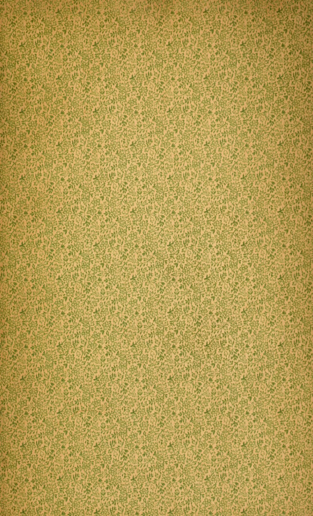 digitised image 3