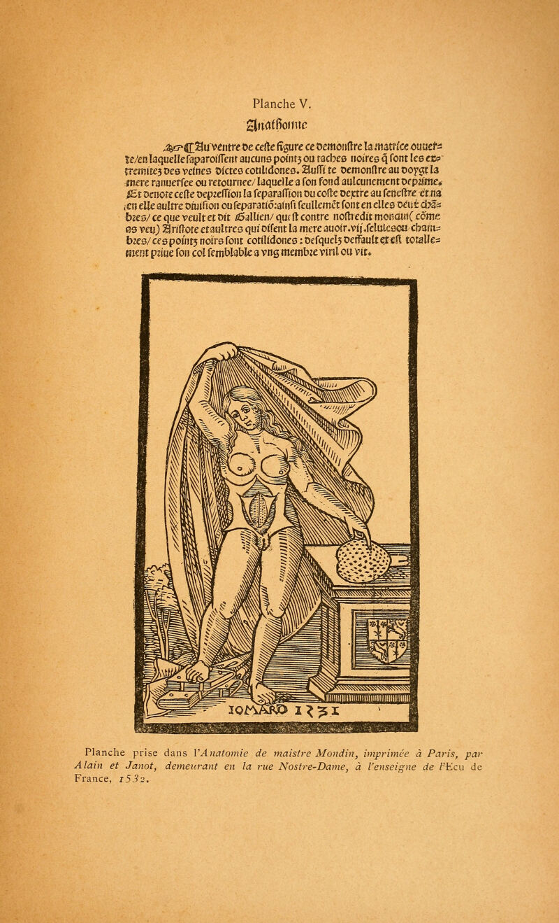 £lnaffioimc ^7*CSuventre oe cette figure ce Oemonfire ta matrice ouaete U/en laquelle faparoiffenr aucuns point? ou tacbes noires q font les et* îremite? ces veines oïctes cotilidones* Sufïï te oemonfire au ooyc;t la mère ranuerfee ou retournée/ laquelle a fon fond aulcuncment or pâme* ffcx. oenote cette oepzefïïon la feparafïïon ou colle oejctre au fenelïre et na ,-cu elle aultre oruifion ou feparatiô^ainfï feullemct font en elles oeu£ cbz* bzes/ ce que veult et oit /Sallien/ que fl contre noftredit monaw( corne es veu) Bxittoteetaaltres quioifent la mèreauoir.vii'.felulesoa ebafu? biee/ ces points noirs font cotilidones : 0efquet5 oenault çt eft totalles ment pjsue fo» col femblable a vng membre vinl ou vit* Planche prise dans VAnatomie de maistre Mondin, imprimée à Paris, par Alain et Janot, demeurant en la rue Nostre-Dame, à l'enseigne de FEcu de
