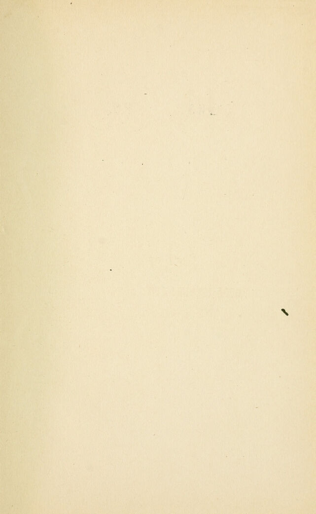 digitised image 3