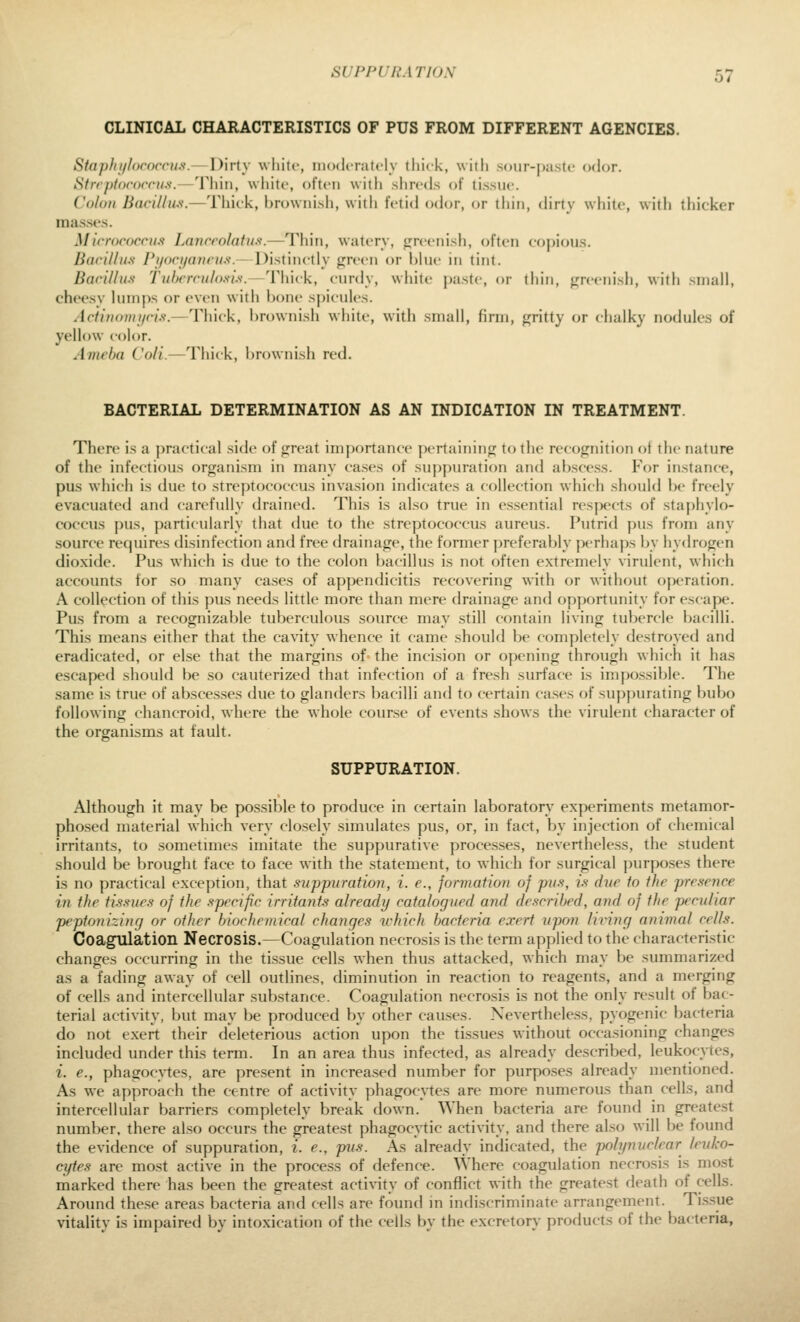 CLINICAL CHARACTERISTICS OF PUS FROM DIFFERENT AGENCIES. Staphijlococcus.—Dirty white, niodcratciy tliick, with .sour-puslc odor. SircptorocruJi.—Thin, white, often with shreds of tissue. Colon Bacillius.—Tliiek, brownisli, with fetid odor, or thin, dirty white, with thicker raas.ses. Microrncnts Lanrrohitu.s.—Thin, watery, greenisli, often copiotis. Bacillus Pi/<)ri/a)i(it.s-.— Distinctly green or l)lue in tint. Bacillus Tuhcrculo.s-i.s.—Thick, cnrdy, wiiite j)iistc, or thin, <;reenish, with small, cheesy lumps or even with bone sj)iciiles. Actinoiiii/cis.—Thick, brownish white, with small, firm, gritty or chalky nodules of yellow color. Ameba Coli.—Thick, l)rownish red. BACTERIAL DETERMINATION AS AN INDICATION IN TREATMENT. There is a ])ractical side of great importance pertaining to the recognition ot the nature of the infectious organism in many cases of suppuration and abscess. For instance, pus which is due to streptococcus invasion indicates a collection which shouhl be freely evacuated and carefully drained. This is also true in essential resjx'cts of staphylo- coccus pus, particularly that due to the streptococcus aureus. Putrid pus from any source requires disinfection and free drainage, the former preferably perhaps by hydrogen dioxide. Pus which is due to the colon bacillus is not often extremely virulent, which accounts for so many cases of appendicitis recovering with or without operation. A collection of this pus needs little more than mere drainage and opportunity for escape. Pus from a recognizable tuberculous source may .still contain living tubercle bacilli. This means either that the cavity whence it came should be completely destroyed and eradicated, or else that the margins of the incision or opening through which it has escaped should be .so cauterized that infection of a fresh surface is impossible. The same is true of absce.s.ses due to glanders bacilli and to certain ca.ses of suppurating bubo following chancroid, where the whole course of events shows the virulent character of the organisms at fault. SUPPURATION. Although it may be possible to produce in certain laboratory experiments metamor- phosed material which very closely simulates pus, or, in fact, by injection of chemical irritants, to sometimes imitate the suppurative processes, nevertheless, the student should be brought face to face with the statement, to which for surgical purposes there is no practical exception, that suppuration, i. e., jorviation of pus, is due to the presence in the tissues of the specific irritants already catalogued and described, and of the penihar peptonizing or other biochemical changes which bacteria exert upon Inking animal cells. Coagulation Necrosis.—Coagulation necrosis is the term applied to the characteri.stic changes occurring in the tissue cells when thus attacked, which may be summarized as a fading away of cell outlines, diminution in reaction to reagents, and a merging of cells and intercellular substance. Coagulation necrosis is not the only result of bac- terial activity, but may be produced by other cau.ses. Nevertheless, pyogenic bacteria do not exert their deleterious action upon the tissues without occasioning changes included under this term. In an area thus infected, as already described, leukocytes, i. €., phagoc\-tes, are present in increa.sed number for purposes already mentioned. As we approach the centre of activity phagocytes are more numerous than cells, and intercellular barriers completely break down. When bacteria are found in greatest number, there also occurs the greatest phagocytic activity, and there also will be found the evidence of suppuration, i. e., pus. As already indicated, the polynvclear leuko- cytes are most active in the process of defence. Where coagulation necrosis is most marked there has been the greatest activity of conflict with the greatest death of cells. Around these areas bacteria and cells are found in indiscriminate arrangement. Ti.s.sue vitality is impaired by intoxication of the cells by the excretory products of the bacteria,