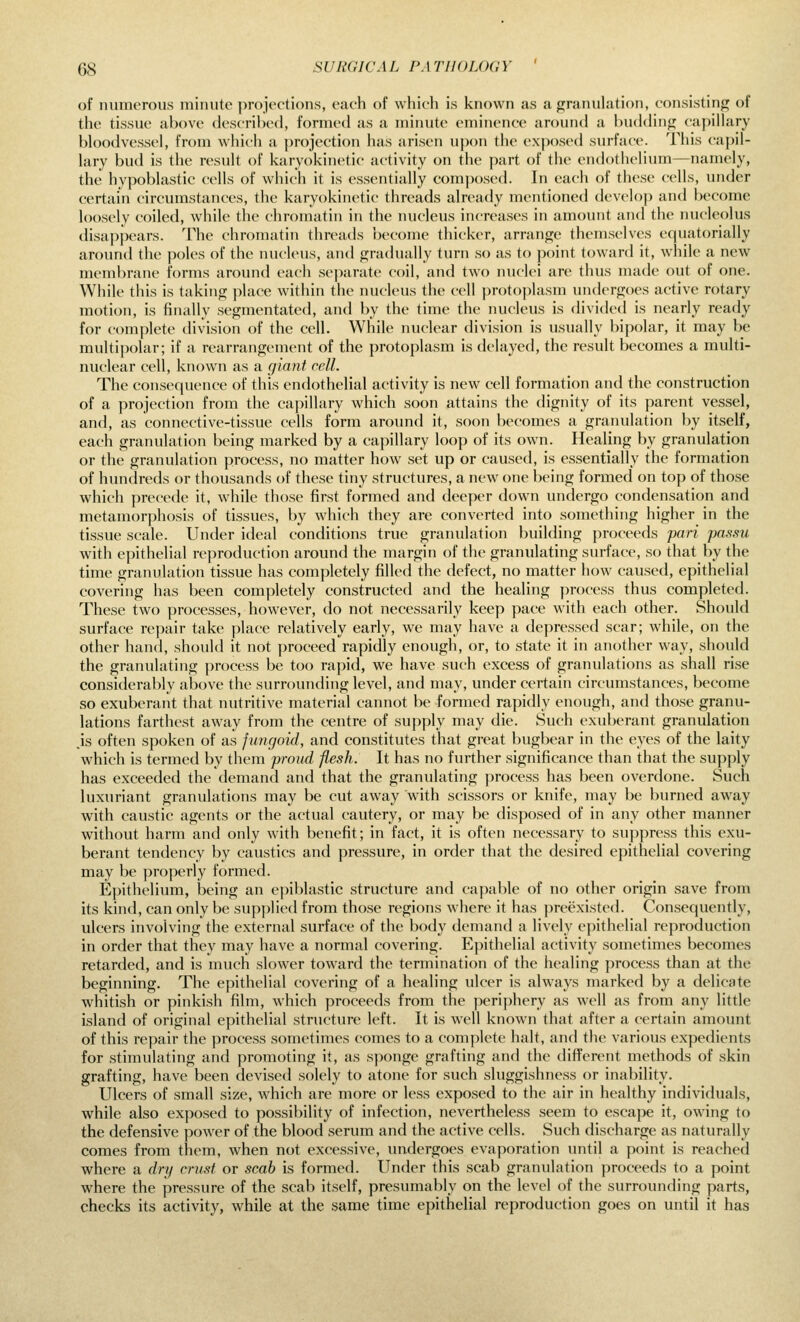 of numerous minute projections, each of which is known as a granulation, consisting of the tissue above descril)efl, formed as a minute eminence around a budding capillary bloodvessel, from which a projection has arisen u])on the exposed surface. This ca|)il- lary bud is the result of karyokinetic activity on the part of the endothelium—namely, the hypoblastic cells of which it is essentially composed. In each of these cells, under certain circumstances, the karyokin(>tic threads already mentioned develop and become loosely coiled, while the chromatin in the nucleus increases in amount and the nucleolus disappears. The chromatin threads become thicker, arrange themselves equatorially around the poles of the nucleus, and gradually turn so as to point toward it, while a new membrane forms around each separate coil, and two nuclei arc thus made out of one. While this is taking place within the nucleus the cell protoplasm undergoes active rotary motion, is finally segmentated, and by the time the nucleus is divided is nearly ready for complete division of the cell. While nuclear division is usually bipolar, it may be multipolar; if a rearrangement of the protoplasm is delayed, the result becomes a multi- nuclear cell, known as a qlant cell. The consequence of this endothelial activity is new cell formation and the construction of a projection from the capillary which soon attains the dignity of its parent vessel, and, as connective-tissue cells form around it, soon becomes a granulation by itself, each granulation being marked by a capillary loop of its own. Healing by granulation or the granulation process, no matter how set up or caused, is essentially the formation of hundreds or thousands of these tiny structures, a new one being formed on top of those which precede it, while those first formed and deeper down undergo condensation and metamorphosis of tissues, by which they are converted into something higher in the tissue scale. Under ideal conditions true granulation building proceeds 'pari passu with epithelial reproduction around the margin of the granulating surface, so that by the time granulation tissue has completely filled the defect, no matter how caused, epithelial covering has been completely constructed and the healing process thus completed. These two processes, however, do not necessarily keep pace with each other. Should surface repair take place relatively early, we may have a depressed scar; while, on the other hand, should it not proceed rapidly enough, or, to state it in another way, should the granulating process be too rapid, we have such excess of granulations as shall rise considerably above the surrounding level, and may, under certain circumstances, become so exuberant that nutritive material cannot be formed rapidly enough, and those granu- lations farthest away from the centre of supply may die. Such exuberant granulation .is often spoken of as fungoid, and constitutes that great bugbear in the eyes of the laity which is termed by them proud flesh. It has no further significance than that the supply has exceeded the demand and that the granulating process has been overdone. Such luxuriant granulations may be cut away with scissors or knife, may be burned away with caustic agents or the actual cautery, or may be disposed of in any other manner without harm and only with benefit; in fact, it is often necessary to suppress this exu- berant tendency by caustics and pressure, in order that the desired epithelial covering may be properly formed. Epithelium, being an e])iblastic structure and capable of no other origin save from its kind, can only be supplied from those regions where it has jjreexisted. Consequently, ulcers involving the external surface of the body demand a lively epithelial reproduction in order that they may have a normal covering. Epithelial activity sometimes becomes retarded, and is much slower toward the termination of the liealing process than at the beginning. The epithelial covering of a healing ulcer is always marked by a delicate whitish or pinkish film, which proceeds from the periphery as well as from any little island of original epithelial structure left. It is well known that after a certain amount of this repair the process sometimes comes to a complete halt, and the various expedients for stimulating and promoting it, as sponge grafting and the different methods of skin grafting, have been devised solely to atone for such sluggishness or inability. Ulcers of small size, which are more or less exposed to the air in healthy individuals, while also exposed to possibility of infection, nevertheless seem to escape it, owing to the defensive power of the blood serum and the active cells. Such discharge as naturally comes from them, when not excessive, undergoes evaporation until a point is reached where a dry crust or scab is formed. Under this scab granulation proceeds to a point where the pressure of the scab itself, presumably on the level of the surrounding parts, checks its activity, while at the same time epithelial reproduction goes on until it has