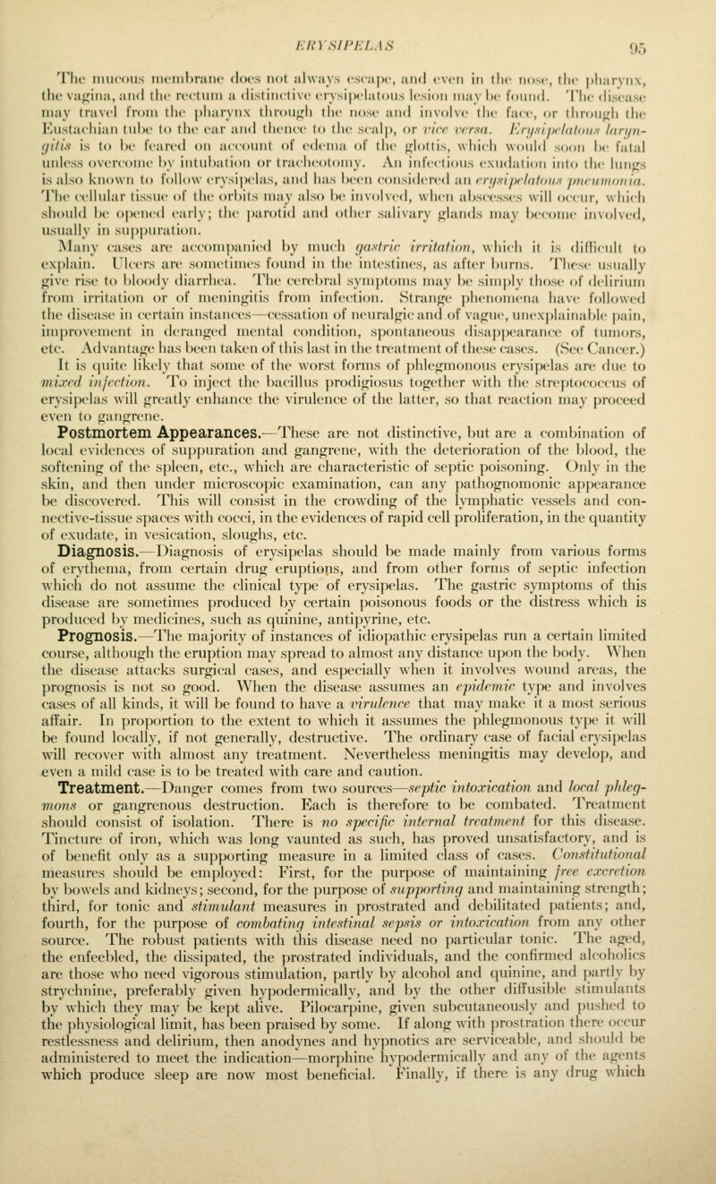 h'ln SII'KLAS f)5 TIk- imifoiis iiiciiil)niii(' (Iocs lud always cscaiH', and even in tiie nose, the |)liarvn.\, the vufijina, and the rectmii a distinctive eiysipclatons lesion may In- t'oinid. The disease may travel from the j)harynx throu<;li the nose and involve the face, or tliroii<^h the Eustaehian tube to the ear and thence to the scalp, or rirr versa. Kri/.s-ijtc/ithiii.s /(iri/n- (/iti-K is to be feared on account of edema of the <flottis, which would soon be fatal unless overcome by intubation or tracheotomy. An infectious exudation into the lunjjs is also known to follow i-rysipclas, and has been considered an rrif.siprlnfoit.s jmrumoiiia. The cellular tissue of the orbits may also be involved, when abscesses will occur, which should be opened early; the ])aroti<l and other salivary fjlands may become involved, usually in suj)puration. Many cases are accompanied by much (jnstric irritation, which it is difficult to explain. Ulcers are sometimes found in the intestines, as after burns. These usually give rise to l)loody diarrhea. 'I'he cerebral symj)toms may be simply those of delirium from irritation or of meningitis from inf(>ction. Strange phenomena have followed the disease in certain instances—cessation of neuralgic and of vague, unexplainablc pain, improvement in deranged mental condition, spontaneous disappearance of tumors, etc. Ailvantage has l)een taken of this last in the treatment of these eases. (See Cancer.) It is quite likely that some of the worst forms of phlegmonous erysipelas are due to mixed infection. To inject the bacillus prodigiosus together with the streptococcus of erysijH'las will greatly enhance the virulence of the latter, so that reaction may proceed even to gangrene. Postmortem Appearances.—These are not distinctive, but are a combination of local evidences of suj)puruti()n and gangrene, with the deterioration of the blood, the softening of the s})leen, etc., which are characteristic of septic poisoning. Only in the skin, and then under microscopic examination, can any pathognomonic appearance be discovered. This will consist in the crowding of the lymphatic vessels and con- nective-tissue spaces with cocci, in the evidences of rapid cell proliferation, in the quantity of exudate, in vesication, sloughs, etc. Diagnosis.—Diagnosis of erysipelas should be made mainly from various forms of erythema, from certain drug eruptions, and from other forms of septic infection which do not assume the clinical type of erysipelas. The gastric symptoms of this disease are sometimes produced by certain poisonous foods or the distress which is produced liy medicines, such as quinine, antipyrine, etc. Prognosis.—The majority of instances of idiopathic erysipelas run a certain limited course, although the eruption may spread to almost any distance upon the body. When the disease attacks surgical cases, and especially w^hen it involves wound areas, the prognosis is not so good. When the disease assumes an epidemic type and involves cases of all kinds, it will be found to have a virulence that may make it a most serious affair. In proportion to the extent to which it assumes the phlegmonous type it will be found locally, if not generally, destructive. The ordinary case of facial erysi})elas will recover with almost any treatment. Nevertheless meningitis may develop, and even a mild case is to be treated with care and caution. Treatment.—Danger comes from two sources—.septic intoxication and local phleg- mons or gangrenous destruction. Each is therefore to be combated. Treatment should consist of isolation. There is no specific internal treatment for this disease. Tincture of iron, which w^as long vaunted as such, has proved unsatisfactory, and is of benefit only as a supporting measure in a limited class of cases. Constitutional measures should be employed: First, for the purpose of maintaining free excretion by bowels and kidneys; second, for the purpose of supporting and maintaining strength; third, for tonic and stimulant measures in prostrated and debilitated patients; and, fourth, for the purpose of combating intestinal sepsis or intoxication from any other source. The robust patients with this disease need no particular tonic. The aged, the enfeebled, the dissipated, the prostrated individuals, and the confirmed alcoholics are those who need vigorous stimulation, partly by alcohol and quinine, and })artly by strychnine, preferably given hypodermically, and by the other diffusible stimulants by which they may be kept alive. Pilocarpine, given subcutaneously and pushed to the physiological limit, has been praised by some. If along wnth prostration there occur restlessness and delirium, then anodynes and hypnotics are serviceable, and should be administered to meet the indication—morphine hypodermically and any of the agents which produce sleep are now most beneficial. Finally, if there is any drug which
