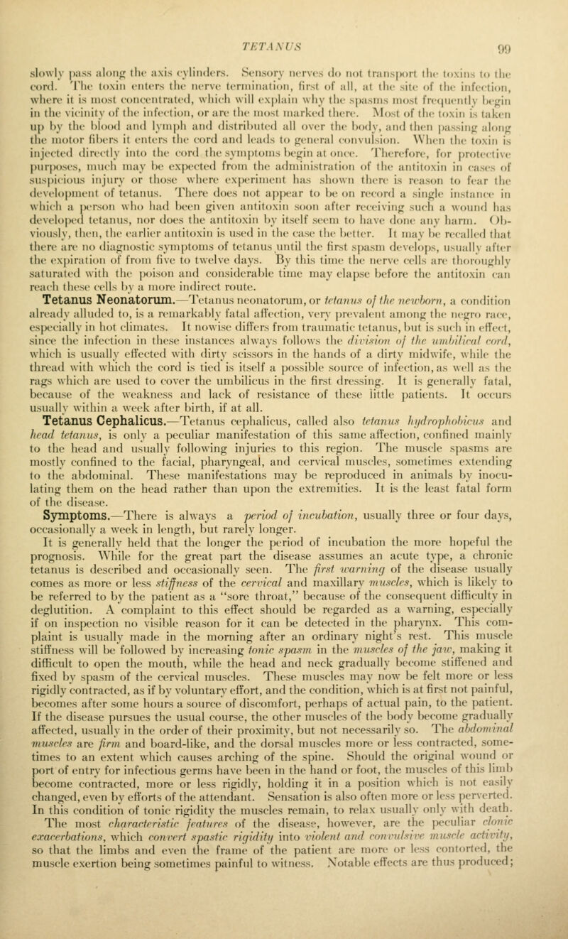 slowly pass aloii;; (lie axis cyliiidiTs. Sensory iicrvt-s do not (ransj)ort the (oxins to the cord. 'V\\v toxin enters the nerve termination, first of all, at (lie site of the infection, where it is most concentrated, which will explain why the spasms most fre(|nently hetrin in the vicinity of the infection, or are the most marked there. Most of the toxin is taken up by till' l)lood and lymph and distributed all over the body, and then passing alonj^ the motor fibers it enters the cord and leads to fijeneral convulsion. When the toxin is injec-ted directly into the cord the symptoms be<,'in at once, 'riicrefore, for protective purj)oses, much may be expected from the administration of the antitoxin in cases of suspicious injury or those where experiment hiis shown there Ls rea.son to fear the development of tetanus. There does not appear to be on record a single instance in which a |X'rson who had been given antitoxin soon after receiving such a wound has developed tetanus, nor does the antitoxin by itself seem to have done any harm. Ob- viously, tlu-n, the earlier antitoxin is used in the case the better. It may be recalled that there are no diagnostic symptoms of tetanus until the first spasm develops, usualh after the exi)iration of from five to twelve days. By this time the nerve cells are thoroughly saturatetl with the poison and considerable time may elapse before the antitoxin can reach these cells t)y a more indirect route. Tetanus Neonatorum.—Tetanus neonatorum, or ietamis of ihe newborn, a condition already alluded to, is a remarkably fatal afiection, very prevalent among the negro race, esjx'cially in hot climates. It nowise differs from traumatic tetanus, but is such in effect, since the infection in these instances always follows the division of iJic umhilical cord, which is usually eficcted with dirty scissors in the hands of a dirty midwife, while the thread with which the cord is tied is itself a possible source of infection, as well as the rags which are used to cover the umbilicus in the first dressing. It is generally fatal, because of the weakness and lack of resistance of these little patients. It occurs usually within a week after birth, if at all. Tetanus Cephalicus.^—Tetanus cephalicus, called also tetanus hydrophohicus and head tetanus, is only a peculiar manifestation of this same afTection, confined mainly to the head and usually following injuries to this region. The muscle spasms are mostly confined to the facial, pharyngeal, and cervical muscles, sometimes extending to the abdominal. These manifestations may be reproduced in animals by inocu- lating them on the head rather than upon the extremities. It is the least fatal form of the disease. Sjnnptoms.—There is always a period of incubation, usually three or four days, occasionally a week in length, but rarely longer. It is generally held that the longer the period of incubation the more hopeful the prognosis. AVhile for the great part the disease assumes an acute type, a chronic tetanus is described and occasionally seen. The first warning of the disease usually comes as more or less stiffness of the cervical and maxillary muscles, which is likely to be referred to by the patient as a sore throat, because of the consequent difficulty in deglutition. A complaint to this effect should be regarded as a warning, especially if on inspection no visible reason for it can be detected in the pharynx. This com- plaint is usually made in the morning after an ordinary night's rest. This muscle stiffness will be followed by increasing tonic spasm in the muscles of the jaw, making it difficult to open the mouth, while the head and neck gradually become stiffened and fixed by spasm of the cervical muscles. These muscles may now be felt more or less rigidly contracted, as if by voluntary eflFort, and the condition, which is at first not painful, becomes after some hours a source of discomfort, perhaps of actual pain, to the patient. If the disease pursues the usual course, the other muscles of the body become gradually affected, usually in the order of their proximity, but not necessarily so. The abdominal muscles are firm and board-like, and the dorsal muscles more or less contracted, some- times to an extent which causes arching of the spine. Should the original wound or port of entry for infectious germs have been in the hand or foot, the muscles of this liinb become contracted, more or less rigidly, holding it in a position which is not easily changed, even by efforts of the attendant. Sensation is also often more or less perverted. In this condition of tonic rigidity the muscles remain, to relax usually only with death. The most characteristic features of the disease, however, are the peculiar clonic exacerbations, which convert spastic rigiflity into violent and conxndsivc muscle activity, so that the limbs and even the frame of the patient are more or less contorted, the muscle exertion being sometimes painful to witness. Notable effects are thus produced;