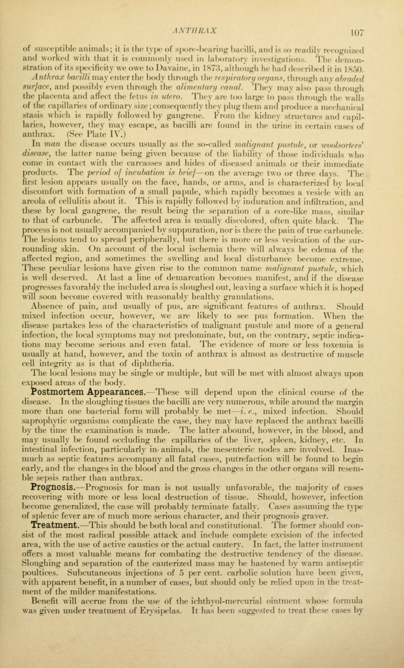 .I.V77/AM.V of ,sii.sc('|)til)lc animals; it is the t\ |)r of s|)(>n-li(ariii<,' l)a(illi, and is so rc-adilv rcco^iii/cd and worked wilii that it is coninionly nsrd in lal»oratorv invcstifjations. Tlic demon- stration of its .sjH'cificity we owe to Davaine, in iST^i, althoufjli he had deserihed it in 1S')(). Anthrax /^ar////may enter the body throuj^h the rcspiniiori/ortjan-s, through nu\ ahmdtd surface, and possil)ly even through the a/iiiimtari/ canal. They niav also j)ass through the phicenta and affect the fetus /// ulcro. They are too hirge to |)ass tlirough tlie walls of the capillaries of ordinary si/.«-; conse(|Uently they plug them and produce a mechanical stasis which is ra|)idly followed hy gangrene. From the kidney structures and capil- laries, however, thev niav escaj)e, as bacilli are found in the urine in certain cases of anthrax. (See Plate IV.) In man the disease occurs usually as the so-called nia/ir/nanf jntstutc, or voohortcr.s' disease, the latter name being given because of the liability of tho.se individuals who come in contact with the carca.s.ses and hides of di.sea.sed animals or their immediate products. The period of incuhafion is brief—on the average two or three davs. The first lesion apj)ears usually on the face, hands, or arms, and is characterized bv local discomfort with formation of a small ])a|)ule, which rajjidly becomes a vesicle with an areola of cellulitis about it. This is ra|)idly followed by incluration and infiltration, and these by local gangrene, the result being the .se])aration of a core-like mass, similar to that of carbuncle. The affected area is usually discolored, often quite black. The process is not usually accompanied by su])puration, nor is there the pain of true carbuncle. The lesions tend to spread peripherally, but there is more or less vesication of the sur- rounding skin. On account of the local ischemia there will always be edema of the affected region, and sometimes the swelling and local disturbance become extreme. These peculiar lesions have given rise to the common name vialignant 'pustule, which is well deserved. At last a line of demarcation becomes manifest, and if the disea.se progresses favorably the included area is sloughed out, leaving a surface which it is hoj:)ed will soon become covered with reasonably healthy granulations. Absence of pain, and usually of pus, are significant features of anthrax. Should mLxed infection occur, however, we are likely to see pus formation. When the disease partakes less of the characteristics of malignant pustule and more of a general infection, the local .s}iuptoms may not predominate, but, on the contrary, .septic indica- tions may become serious and even fatal. The evidence of more or less toxemia is usually at hand, however, and the toxin of anthrax is almost as destructive of muscle cell integrity as is that of diphtheria. The local lesions may be single or multiple, but will be met with almost always upon exposed areas of the Ixxly. Postmortem Appearances.—These will depend upon the clinical course of the disea.se. In the sloughing tissues the l)acilli are very numerous, while around the margin more than one bacterial form will probably be met—r. e., mixed infection. Should saprophitic organisms complicate the ca.se, they may have replaced the anthrax bacilli by the time the examination is made. The latter abound, however, in the blood, and may usually be found occluding the capillaries of the liver, spleen, kidney, etc. In intestinal infection, particularly in- animals, the mesenteric nodes are involved. Ina.s- much as septic features accompany all fatal cases, putrefaction will be found to begin early, and the changes in the l)lood and the gross changes in the other organs will resem- ble sepsis rather than anthrax. Prognosis.—Progno.sis for man is not usually unfavorable, the majority of ca.ses recovering with more or less local destruction of tissue. Should, however, infection become generalized, the case will probably terminate fatally. Cases assuming the type of splenic fever are of much more serious character, and their prognosis graver. Treatment.—This should be both local and constitutional. The former should con- sist of the most radical possible attack and include complete excision of the infected area, with the u.se of active caustic-s or the actual cautery. In fact, the latter instrument offers a most valuable means for combating the destructive tendency of the disease. Sloughing and separation of the cauterized ma.ss may be hastened by warm antiseptic poultices. Subcutaneous injections of 5 per cent, carbolic solution have been given, with apparent benefit, in a number of cases, but should only be relied upon in the treat- ment of the milder manifestations. Benefit will accrue from the use of the ichthyol-mercurial ointment whose formula was given under treatment of Erysijielas. It has been suggested to treat these cases by