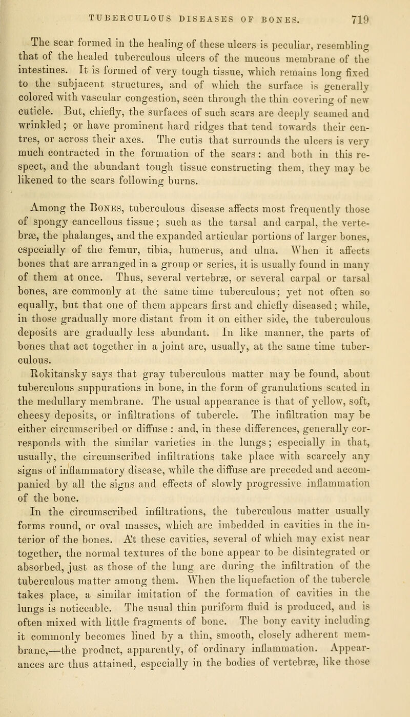 The scar formed in the healing of these ulcers is peculiar, resembling that of the healed tuberculous ulcers of the mucous membrane of the intestines. It is formed of very tough tissue, which remains long fixed to the subjacent structures, and of which the surface is generally colored with vascular congestion, seen through the thin covering of new cuticle. But, chiefly, the surfaces of such scars are deeply seamed and wrinkled; or have prominent hard ridges that tend towards their cen- tres, or across their axes. The cutis that surrounds the ulcers is very much contracted in the formation of the scars: and both in this re- spect, and the abundant tough tissue constructing them, they may be likened to the scars following: burns. Among the Bones, tuberculous disease affects most frequently those of spongy cancellous tissue; such as the tarsal and carpal, the verte- brge, the phalanges, and the expanded articular portions of larger bones, especially of the femur, tibia, humerus, and ulna. When it aflFects bones that are arranged in a group or series, it is usually found in many of them at once. Thus, several vertebrae, or several carpal or tarsal bones, are commonly at the same time tuberculous; yet not often so equally, but that one of them appears first and chiefly diseased; while, in those gradually more distant from it on either side, the tuberculous deposits are gradually less abundant. In like manner, the parts of bones that act together in a joint are, usually, at the same time tuber- culous. Rokitansky says that gray tuberculous matter may be found, about tuberculous suppurations in bone, in the form of granulations seated in the medullary membrane. The usual appearance is that of yellow, soft, cheesy deposits, or infiltrations of tubercle. The infiltration may be either circumscribed or diffuse : and, in these differences, generally cor- responds with the similar varieties in the lungs; especially in that, usually, the circumscribed infiltrations take place with scarcely any signs of inflammatory disease, while the diffuse are preceded and accom- panied by all the signs and effects of slowly progressive inflammation of the bone. In the circumscribed infiltrations, the tuberculous matter usually forms round, or oval masses, which are imbedded in cavities in the in- terior of the bones. A't these cavities, several of which may exist near together, the normal textures of the bone appear to be disintegrated or absorbed, just as those of the lung are during the infiltration of the tuberculous matter among them. When the liquefaction of the tubercle takes place, a similar imitation of the formation of cavities in the lungs is noticeable. The usual thin puriform fluid is produced, and is often mixed with little fragments of bone. The bony cavity including it commonly becomes lined by a thin, smooth, closely adherent mem- brane,—the product, apparently, of ordinary inflammation. Appear- ances are thus attained, especially in the bodies of vertebrae, like those