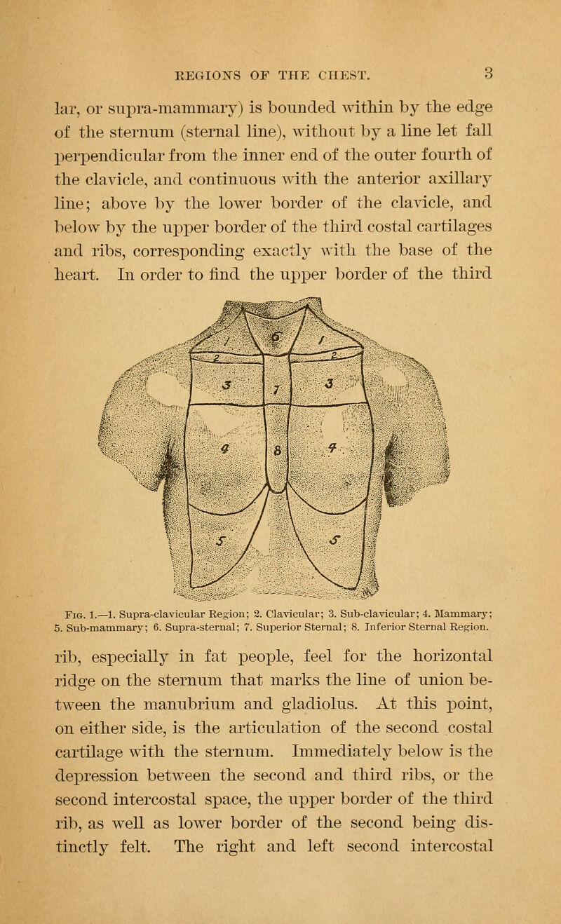 lar, or siipra-mammary) is bounded within by the edge of the sternum (sternal line), without by a line let fall perpendicular from the inner end of the outer fourth of the clavicle, and continuous with the anterior axillary line; above by the lower border of the clavicle, and below by the upjjer border of the third costal cartilages and ribs, corresponding exactly Avith the base of the heart. In order to find the upper border of the third ■fe / A Fig. 1.—1. Supra-clavicular Region; 3. Clavicular; 3. Sub-clavicular; 4. Mammary; 5. Sub-mammary; 6. Supra-sternal; 7. Superior Sternal; 8. Inferior Sternal Region. rib, especially in fat people, feel for the horizontal ridge on the sternum that marks the line of union be- tween the manubrium and gladiolus. At this point, on either side, is the articulation of the second costal cartilage with the sternum. Immediately below is the de^Dression between the second and third ribs, or the second intercostal space, the u^Dper border of the third rib, as well as lower border of the second being dis- tinctly felt. The right and left second intercostal
