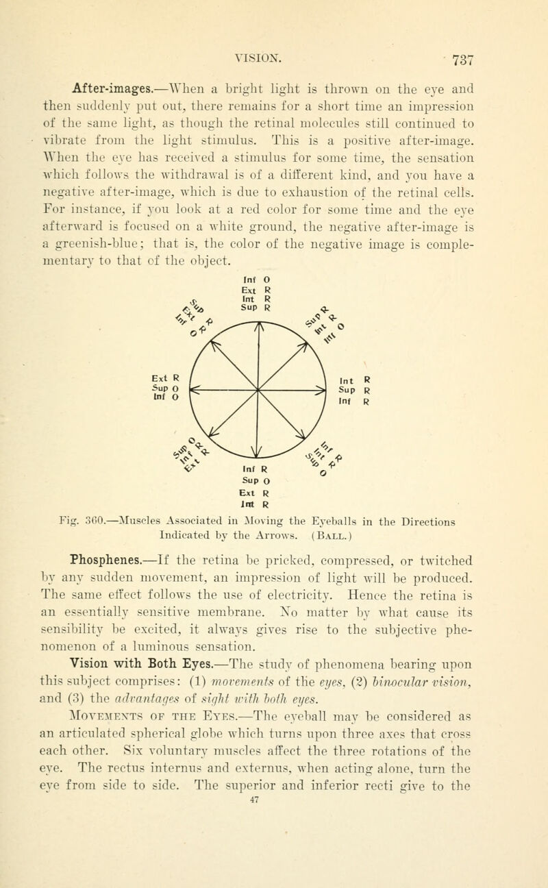 After-images.—When a bright light is thrown on the eye and then suddenly put out, there remains for a short time an impression of the same light, as though the retinal molecules still continued to vibrate from the light stimulus. This is a positive after-image. AVhen the eye has received a stimulus for some time, the sensation ■which follows the withdrawal is of a different kind, and you have a negative after-image, which is due to exhaustion of the retinal cells. For instance, if you look at a red color for some time and the eye afterward is focused on a white ground, the negative after-image is a greenish-blue; that is, the color of the negative image is comple- mentary to that cf the object. Fig. 300.—Muscles Associated in Moving the Eyeballs in the Directions Indicated by the Arrows. (Ball.) Phosphenes.—If the retina he pricked, compressed, or twitched by any sudden movement, an impression of light will be produced. The same effect follows the use of electricity. Hence the retina is an essentially sensitive membrane. No matter by what cause its sensibility be excited, it always gives rise to the subjective phe- nomenon of a luminous sensation. Vision with Both Eyes.—The study of phenomena bearing upon this subject comprises: (1) movements of the eyes, (2) litwcular vision, and (3) the advantages of sight ivitli loth eyes. MovEMEN^TS OF THE Etes.—The eyeball may be considered as an articulated spherical globe which turns upon three axes that cross each other. Six voluntary muscles affect the three rotations of the eye. The rectus internns and externus, when acting alone, turn the eye from side to side. The superior and inferior recti give to the 47