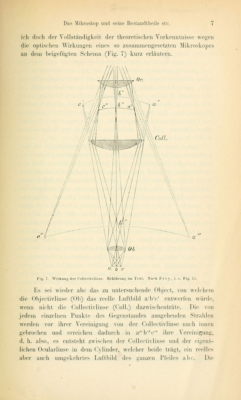 ich doch der Vollständigkeit der theoretischen Vorkenntnisse Avegen die optischen Wirkungen eines so zusammengesetzten Mikroskopes an dem beigefügten Schema (Fig. 7) kurz erläutern. 'L-'-'- Fig. 7. Wirkung der Collectivlinse. Erklärung im Text. NarhFrcy, I.e. Fig. I.t. Es sei wieder abc das zu untersuchende Objert, von Avclchcm die Objectivlinse (Oh) das reelle Luftbikl a'b'c' entwei-J'en würde, wenn nicht die Collectivlinse (Coli.) dazwischenträte. Die von jedem einzelnen Punkte des Gegenstandes ausgehenden Strahlen werden vor ihrer Vereinigung von der Collectivlinse nach innen gebrochen und erreichen dadurch in abc ihre Vereinigung, d. h. also, es entsteht zwischen der Collectivlinse und der eigent- lichen Ocularlinse in dem Cylind'Or, welcher beide trägt, ein reelles aber auch umgekehrtes Luftbihi des ü-anzen Pl'eiles abc. Die
