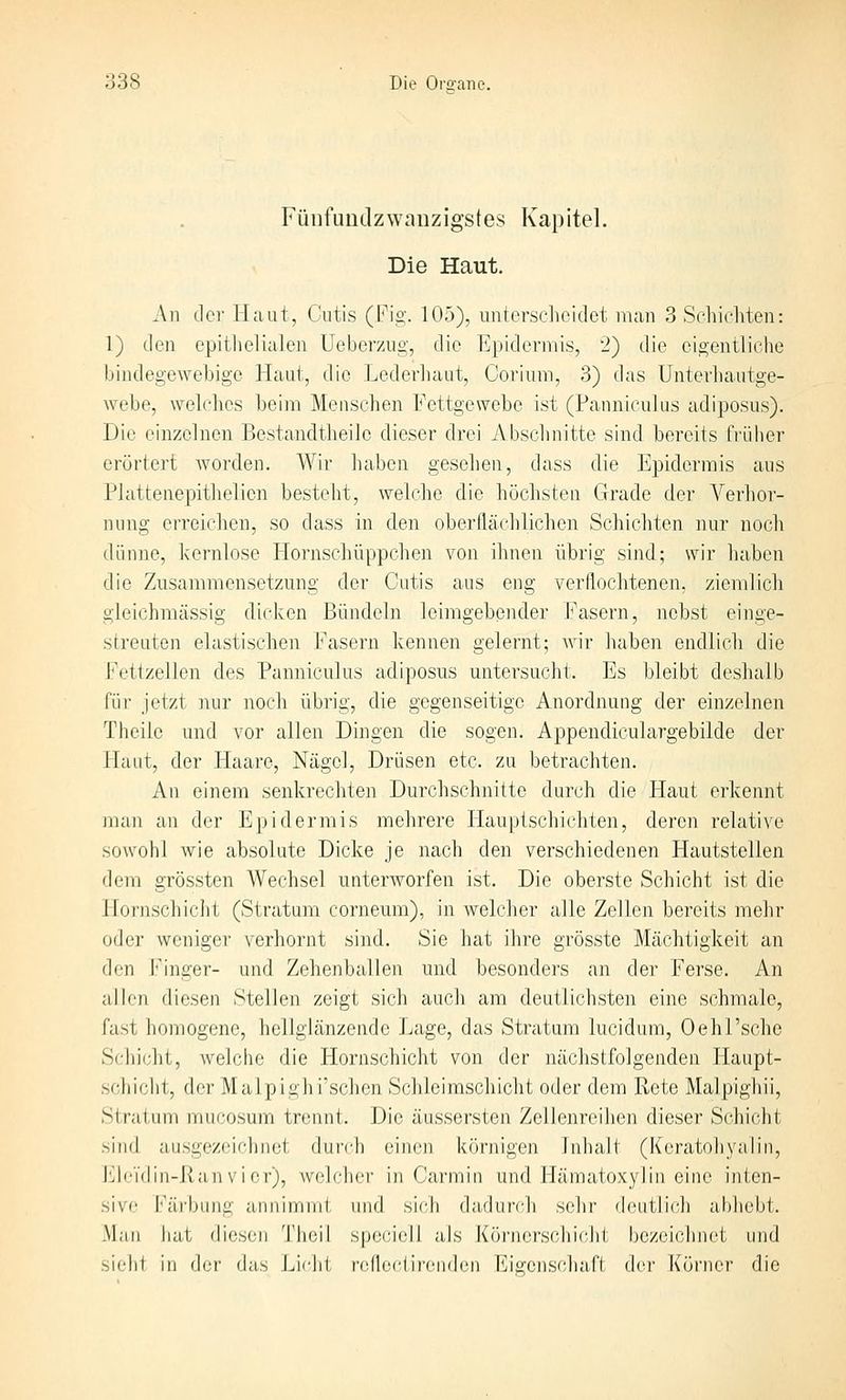 Füiifimdzwanzigstes Kapitel. Die Haut. An der Haut, Cutis (Fig. 105), imtersclicidct man 3 Schichten: 1) den epithelialen Ueberzug, die Epidermis, 2) die eigentliche bindegewebige Haut, die Lederhaut, Corium, 3) das Unterhaiitge- webe, welches beim Menschen Fettgewebe ist (Panniculus adiposus). Die einzelnen Bestandtheile dieser drei Abschnitte sind bereits fi'üher erörtert worden. Wir haben gesehen, dass die Epidermis aus Plattenepithelien besteht, welche die höchsteu Grade der Verhor- nung erreichen, so dass in den oberflächlichen Schichten nur noch dünne, kernlose Hornschüppchen von ihnen übrig sind; wir haben die Zusammensetzmig der Cutis aus eng verflochtenen, ziendich gleichmässig dicken Bündeln leimgebender Fasern, nebst einge- streuten elastischen Fasern kennen gelernt; Avir haben endlich die Fettzellen des Panniculus adiposus untersucht. Es bleibt deshalb für jetzt nur noch übrig, die gegenseitige Anordnung der einzelnen Theile und vor allen Dingen die sogen. Appendiculargebilde der Haut, der Haare, Nägel, Drüsen etc. zu betrachten. An einem senkrechten Durchschnitte durch die Haut erkennt man an der Epidermis mehrere liauptschichten, deren relative sowohl wie absolute Dicke je nach den verschiedenen Hautstellen dem grössten Wechsel unterworfen ist. Die oberste Schicht ist die Hornschicht (Stratum corneum), in Avelcher alle Zellen bereits mehr oder weniger verhornt sind. Sie hat ihre grösste Mächtigkeit an den langer- und Zohcnballen und besonders an der Ferse. An allen diesen Stellen zeigt sich auch am deutlichsten eine schmale, fast homogene, hellglänzende Lage, das Stratum lucidum, Oehl'sche Schicht, welche die Hornschicht von der nächstfolgenden Haupt- schicht, der Maipighl'schen Schleimschicht oder dem Rete Malpighii, Stratum mucosum trennt. Die äussersten Zellenreihen dieser Schicht sind ausgezeiclniet dui'ch einen körnigen Inhalt (Keratohyalin, l'^li'Tdin-Kan vi er), Avolcher in Carmin und Hämatoxylin eine inten- sive Färbung annimmt und sich dadurch sehr deutlich abhebt. Man hat diesen Thoil speciell als Körnerschicdit bezeichnet und sieht in der das Licht reflectircnden Eigenschaft der Körner die