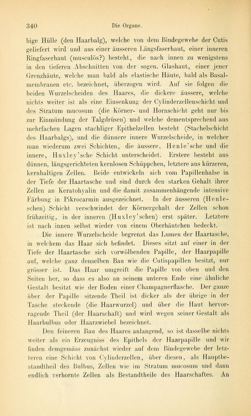 bige Hülle (den Haarbalg), welche von dem Bindegewebe der Cutis geliefert wird und aus einer äusseren Längsfaserhaut, einer inneren Eingfaserhaut (musculös?) besteht, die nach innen zu wenigstens in den tieferen Abschnitten von der sogen. Glashaut, einer jener Grenzhäute, welche man bald als elastische Häute, bald als Basal- membranen etc. bezeichnet, überzogen wird. Auf sie folgen die beiden Wurzelscheiden des Haares, die dickere äussere, welche nichts weiter ist als eine Eiiisenkung der Cylinderzellenschicht und des Stratum mucosum (die Körner- und Hornschicht geht nur bis zur Einmündung der Talgdrüsen) und welche dementsprechend aus mehrfachen Lagen stachliger Epithelzellen besteht (Stachelschicht des Haarbalgs), und die dünnere innere Wurzelscheide, in welcher man wiederum zwei Schichten, die äussere, Hcnle'sche und die innere, Huxley'sche Schicht unterscheidet. Erstere besteht aus dünnen, längsgerichteten kernlosen Schüppchen, letztere aus kürzeren, kernhaltigen Zellen. Beide entwickeln sich vom Papillenhalse in der Tiefe der Haartasche und sind durch den starken Gehalt ihrer Zellen an Keratohyalin und die damit zusammenhängende intensive Färbung in Pikrocarmin ausgezeichnet. In der äusseren (Henle- schen) Schicht verschwindet der Körnergehalt der Zellen schon frühzeitig, in der inneren (Huxley'sehen) erst später. Letztere ist nach innen selbst wieder von einem Oberhäutchen bedeckt. Die innere Wurzelscheide begrenzt das Lumen der Haartasche, in weichem das Haar sich befindet. Dieses sitzt auf einer in der Tiefe der Haartasche sich vorwölbenden Papille, der Haarpapille auf, welche ganz denselben Bau wie die Cutispapillen besitzt, nur grösser ist. Das Haar umgreift die Papille von oben und den Seiten her, so dass es also an seinem unteren Ende eine ähnliche Gestalt besitzt wie der Boden einer Charapagnerflasche. Der ganze über der Papille sitzende Theii ist dicker als der übrige in der Tasche steckende (die Haarwurzel) und über die Haut hervor- ragende Tlieil (der Haarschaft) und wird wegen seiner Gestalt als Haarbulbus oder Haarzwiebel bezeichnet. Den feineren Bau des Haares anlaugend, so ist dasselbe nichts weiter als ein Jilrzeugniss des Epithels der Haar[japillc und wir finden demgemäss zunächst wieder auf d(!ni Bindegewebe der letz- teren eine Schicht von Cylinderzellen, über diesen, als llauplbe- standtheil des Bulbus, Zellen wie iju Stratum mucosuin und dann endlich verhornte Zellen als ßestandtheile des Haarschaftes. An