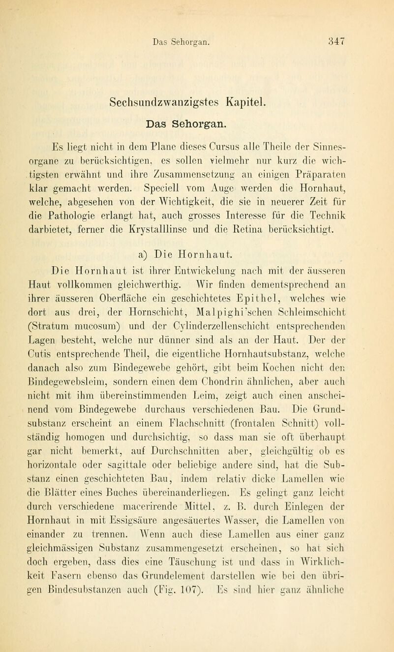 Sechsundzwanzigstes Kapitel. Das Sehorgan. Es liegt nicht in dem Plane dieses Cursus alle Theilc der Sinnes- organe zu berücksichtigen, es sollen vielmehr nur kurz die wich- tigsten erwähnt und ihre Zusammensetzung an einigen Präparaten klar gemacht werden. Speciell vom Auge Averden die Hornhaut, welche, abgesehen von der Wichtigkeit, die sie in neuerer Zeit für die Pathologie erlangt hat, auch grosses Interesse für die Technik darbietet, ferner die Krystalllinse und die Retina berücksichtigt. a) Die Hornhaut. Die Hornhaut ist ihrer Entwickelung nach mit der äusseren Haut vollkommen gleichwerthig. Wir finden dementsprechend an ihrer äusseren Oberfläche ein geschichtetes Epithel, welches wie dort aus drei, der Hornschicht, Malpighi'schen Schleiraschicht (Stratum mucosum) und der Cylinderzellenschicht entsprechenden Lagen besteht, welche nur dünner sind als an der Haut. Der der Cutis entsprechende Theil, die eigentliche Hornhautsubstanz, welche danach also zum Bindegewebe gehört, gibt beim Kochen nicht den Bindegewebsleira, sondern einen dem Chondrin ähnlichen, aber auch nicht mit ihm übereinstimmenden Leim, zeigt auch einen anschei- nend vom Bindegewebe durchaus verschiedenen Bau. Die Grund- substanz erscheint an einem Flachschnitt (frontalen Schnitt) voll- ständig homogen und durchsichtig, so dass man sie oft überhaupt gar nicht bemerkt, auf Durchschnitten aber, gleichgültig ob es horizontale oder sagittale oder beliebige andere sind, hat die Sub- stanz einen geschichteten Bau, indem relativ dicke Lamellen wie die Blätter eines Baches übereinanderliegen. Es gelingt ganz leicht durcli verschiedene maccrirende Mittel, z. B. durch Einlegen der Hornhaut in mit Essigsäure angesäuertes Wasser, die Lamellen von einander zu trennen. Wenn auch diese Lamellen aus einer ganz gieichmässigen Substanz zusammengesetzt erscheinen, so hat sich doch ergeben, dass dies eine Täuschung ist und dass in Wirklich- keit Fasern ebenso das Grundelement darstellen wie bei den übri- gen Bindesubstanzen auch (Fig. 107). Es sind hier ganz ähnliche
