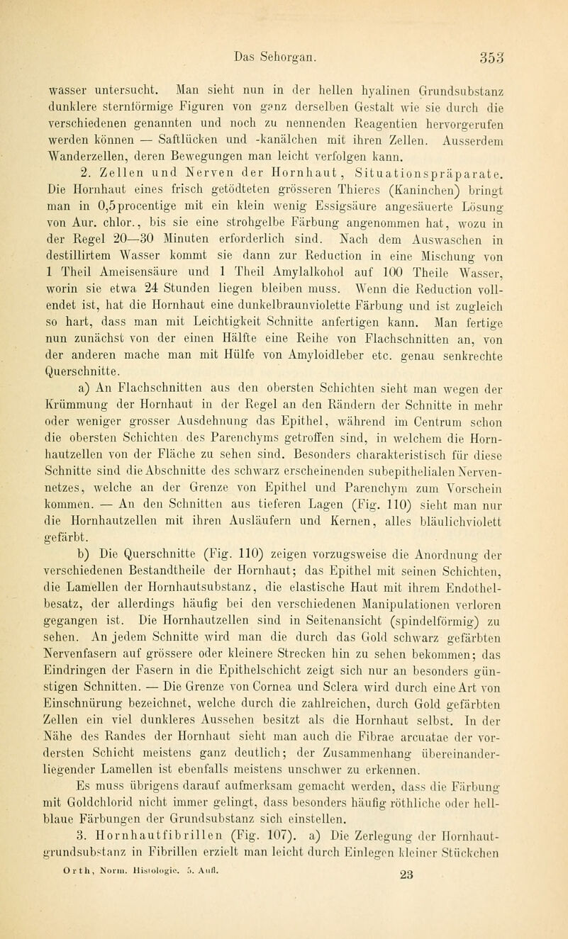 wasser untersucht. Man sieht nun in der hellen hyalinen Grundsubstanz dunklere sterntörmige Figuren von g?nz derselben Gestalt wie sie durch die verschiedenen genannten und noch zu nennenden Reagentien hervorgerufen werden können — Saftlücken und -kanälchen mit ihren Zellen. Ausserdem Wanderzelien, deren Bewegungen man leicht verfolgen kann. 2. Zellen und Nerven der Hornhaut, Situationspräparate. Die Hornhaut eines frisch getödteten grösseren Thiercs (Kaninchen) bringt man in 0,5procentige mit ein klein wenig Essigsäure angesäuerte Lösung von Aur. chlor., bis sie eine strohgelbe Färbung angenommen hat, wozu in der Regel 20—30 Minuten erforderlich sind. Nach dem Auswaschen in destillirtem Wasser kommt sie dann zur Reduction in eine Mischung von 1 Theil Ameisensäure und 1 Theil Amylalkohol auf 100 Theile Wasser, worin sie etwa 24 Stunden liegen bleiben muss. Wenn die Reduction voll- endet ist, hat die Hornhaut eine dunkelbraunviolette Färbung und ist zugleich so hart, dass man mit Leichtigkeit Schnitte anfertigen kann. Man fertige nun zunächst von der einen Hälfte eine Reihe von Flachschnitten an, von der anderen mache man mit Hülfe von Amyloidleber etc. genau senkrechte Querschnitte. a) An Flachschnitten aus den obersten Schichten sieht man wegen der Krümmung der Hornhaut in der Regel an den Rändern der Schnitte in mehr oder weniger grosser Ausdehnung das Epithel, während im Centrum schon die obersten Schichten des Parenchyms getroifen sind, in welchem die Horn- hautzellen von der Fläche zu sehen sind. Besonders charakteristisch für diese Schnitte sind die Abschnitte des schwarz erscheinenden subepithelialen Nerven- netzes, welche an der Grenze von Epithel und Parenchym zum Vorschein kommen. — An den Schnitten aus tieferen Lagen (Fig. 110) sieht man nur die Hornhautzellen mit ihren Ausläufern und Kernen, alles bläulichviolett gefärbt. b) Die Querschnitte (Fig. 110) zeigen vorzugsweise die Anordnung der verschiedenen Bestandtheile der Hornhaut; das Epithel mit seinen Schichten, die Lamellen der Hornhautsubstanz, die elastische Haut mit ihrem Endothel- besatz, der allerdings häufig bei den verschiedenen Manipulationen verloren gegangen ist. Die Hornhautzellen sind in Seitenansicht (spindelförmig) zu sehen. An jedem Schnitte wird man die durch das Gold schwarz gefärbten Nervenfasern auf grössere oder kleinere Strecken hin zu sehen bekommen; das Eindringen der Fasern in die Epithelschicht zeigt sich nur an besonders gün- stigen Schnitten. — Die Grenze von Cornea und Sclera wird durch eine Art von Einschnürung bezeichnet, welche durch die zahlreichen, durch Gold gefärbten Zellen ein viel dunkleres Aussehen besitzt als die Hornhaut selbst. Li der Nähe des Randes der Hornhaut sieht man auch die Fibrae arcuatae der vor- dersten Schicht meistens ganz deutlich; der Zusammenhang übereinander- liegender Lamellen ist ebenfalls meistens unschwer zu erkennen. Es muss übrigens darauf aufmerksam gemacht werden, dass die Färbung mit Goldchlorid nicht immer gelingt, dass besonders häufig röthliclie oder hell- blaue Färbungen der Grundsubstanz sich einstellen. 3. Hornhautfibrillen (Fig. 107). a) Die Zerlegung der llornliaut- grundsubstanz in Fibrillen erzielt man leicht durch Einlegen Kleiner Stückchen Orth, Noiiu. lli.sn)l()>;ie. .'i. Aiill. pq