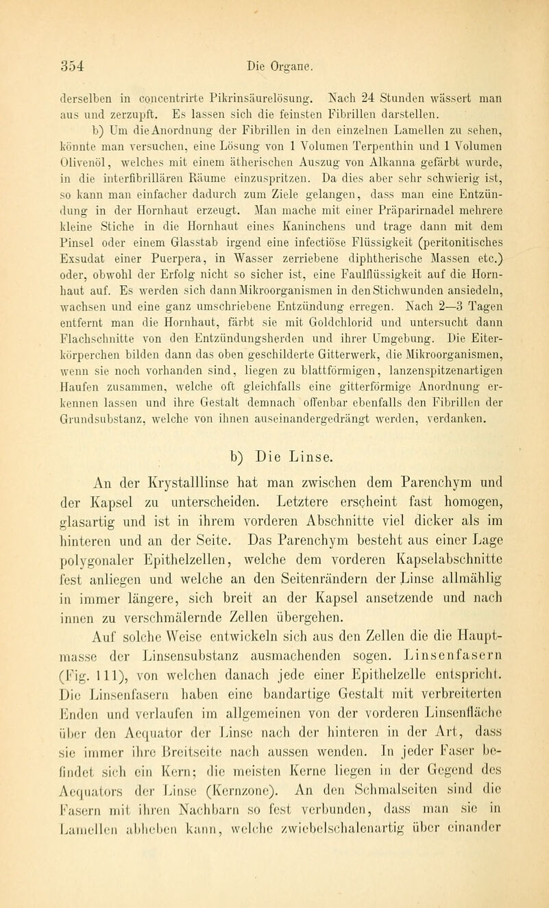 derselben in concentrirte Pikrinsäurelösung. Nach 24 Stunden wässert man aus und zerzupft. Es lassen sicli die feinsten Fibrillen darstellen. b) Um die Anordnung der Fibrillen in den einzelnen Lamellen zu sehen, könnte man versuchen, eine Lösung von 1 Volumen Terpenthin und 1 Volumen Olivenöl, welches mit einem ätherischen Auszug von Alkanna gefärbt wurde, in die interfibrillären Räume einzuspritzen. Da dies aber sehr schwierig ist, so kann man einfacher dadurch zum Ziele gelangen, dass man eine Entzün- dung in der Hornhaut erzeugt. Man mache mit einer Präparirnadel mehrere kleine Stiche in die Hornhaut eines Kaninchens und trage dann mit dem Pinsel oder einem Glasstab irgend eine infectiöse Flüssigkeit (peritonitisches Exsudat einer Puerpera, in Wasser zerriebene diphtherische Massen etc.) oder, obwohl der Erfolg nicht so sicher ist, eine Faulflüssigkeit auf die Horn- haut auf. Es werden sich dann Mikroorganismen in den Stichwunden ansiedeln, wachsen und eine ganz umschriebene Entzündung erregen. Nach 2—3 Tagen entfernt man die Hornhaut, färbt sie mit Goldchlorid und untersucht dann Flachschnitte von den Entzündungsherden und ihrer Umgebung. Die Eiter- körperchen bilden dann das oben geschilderte Gitterwerk, die Mikroorganismen, wenn sie noch vorhanden sind, liegen zu blattförmigen, lanzenspitzenartigen Haufen zusammen, welche oft gleichfalls eine gitterförmige Anordnung er- kennen lassen und ihre Gestalt demnach offenbar ebenfalls den Fibrillen der Grundsubstanz, welche von ihnen auseinandergedrängt werden, verdan]<en. b) Die Linse. An der Krystalllinse hat man zwischen dem Parenchyra und der Kapsel zu unterscheiden. Letztere erscheint fast homogen, glasartig und ist in ihrem vorderen Abschnitte viel dicker als im hinteren und an der Seite. Das Parenchym besteht aus einer Lage polygonaler Epithelzelien, welche dem vorderen Kapselabschnitte fest anliegen und welche an den Seitenrändern der Linse allinählig in immer längere, sich breit an der Kapsel ansetzende und nach innen zu verschmälernde Zellen übergehen. Auf solche Weise entwickeln sich aus den Zellen die die Haupt- masse der Linsensubstanz ausmachenden sogen. Linsen fasern (Fig. 111), von welchen danach jede einer Epitlielzelle enlspricht. Die Liiisenfasern haben eine bandartige Gestalt mit verbreiterten Enden und verlaufen im allgemeinen von der vorderen Linsenflächc iil)(M' den Ae([uator der Linse na(;li der hinteren in der Art, dass sie immer ihre Breitseite nach aussen wenden. In jeder Faser be- findet sich ein Kern; die meisten Kerne liegen in der Gegend des Aequators der Linse (Kernzone). An den Schmalseiten sind die Fasern mit ihren Nachbarn so fest verbunden, dass man sie in Laiuollon abheben kann, wehdie zwiebelscJialenartig über einander