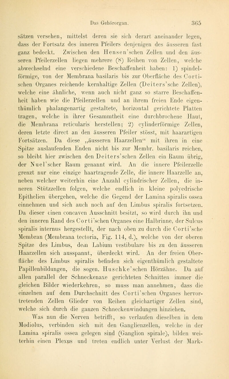 Sätzen versehen, mittelst deren sie sich derart aneinander legen, dass der Fortsatz des inneren Pfeilers denjenigen des äusseren fast ganz bedeckt. Zwischen den Hensen'sehen Zellen und den äus- seren Pfeilerzellen liegen mehrere (S) Reihen von Zellen, welche abwechselnd eine verschiedene Beschaffenheit haben: 1) spindel- förmige, von der Membrana basilaris bis zur Oberfläche des Corti- schen Organes reichende kernhaltige Zellen (Deiters'sche Zellen), welche eine ähnliche, wenn auch nicht ganz so starre Beschaffen- heit haben wie die Pfeilerzellen und an ihrem freien Ende eigen- thümlich phalangenartig gestaltete, horizontal gerichtete Platten tragen, welche in ihrer Gesammtheit eine durchbrochene Haut, die Membrana reticularis herstellen; 2) cylinderförmige Zellen, deren letzte direct an den äusseren Pfeiler stösst, mit haarartigen Fortsätzen. Da diese ,,äusseren Haarzellen mit ihren in eine Spitze auslaufenden Enden nicht bis zur Membr. basilaris reichen, so bleibt hier zwischen den Deiters'schen Zellen ein Raum übrig, der Nuel'scher Raum genannt wird. An die innere Pfeilerzelle grenzt nur eine einzige haartragende Zelle, die innere Haarzelle an, neben welcher weiterhin eine Anzahl cylindrischer Zellen, die in- neren Stützzellen folgen, welche endlich in kleine polyedrische Epithelien übergehen, welche die Gegend der Lamina spiralis ossea einnehmen und sich auch noch auf den Limbus spiralis fortsetzen. Da dieser einen concaven Ausschnitt besitzt, so wird durch ihn und den inneren Rand des Corti'sehen Organes eine Halbrinne, der Sulcus spiralis internus hergestellt, der nach oben zu durch die Corti'sehe Membran (Membrana tectoria, Fig. 114, d.), welche von der oberen Spitze des Limbus, dem Labium vestibuläre bis zu den äusseren Haarzellen sich ausspannt, überdeckt wird. An der freien Ober- fläche des Limbus spiralis befinden sich eigenthümlich gestaltete Papillenbildungen, die sogen. Huschke'sehen Hörzähne. Da auf allen parallel der Schneckenaxe gerichteten Schnitten immer die gleichen Bilder wiederkehren, so muss man annehmen, dass die einzelnen auf dem Durchschnitt des Corti'sehen Organes hervor- tretenden Zellen Glieder von Reihen gleichartiger Zellen sind, welche sich durch die ganzen Schneckenwindungen hinziehen. Was nun die Nerven betrifft, so verlaufen dieselben in dem Modiolus, verbinden sich mit den Ganglienzellen, welclie in iler Lamina spiralis ossea gelegen sind (Ganglion spirale), bilden wei- terhin einen Plexus und treten endlich unter Verlust der Marlv-