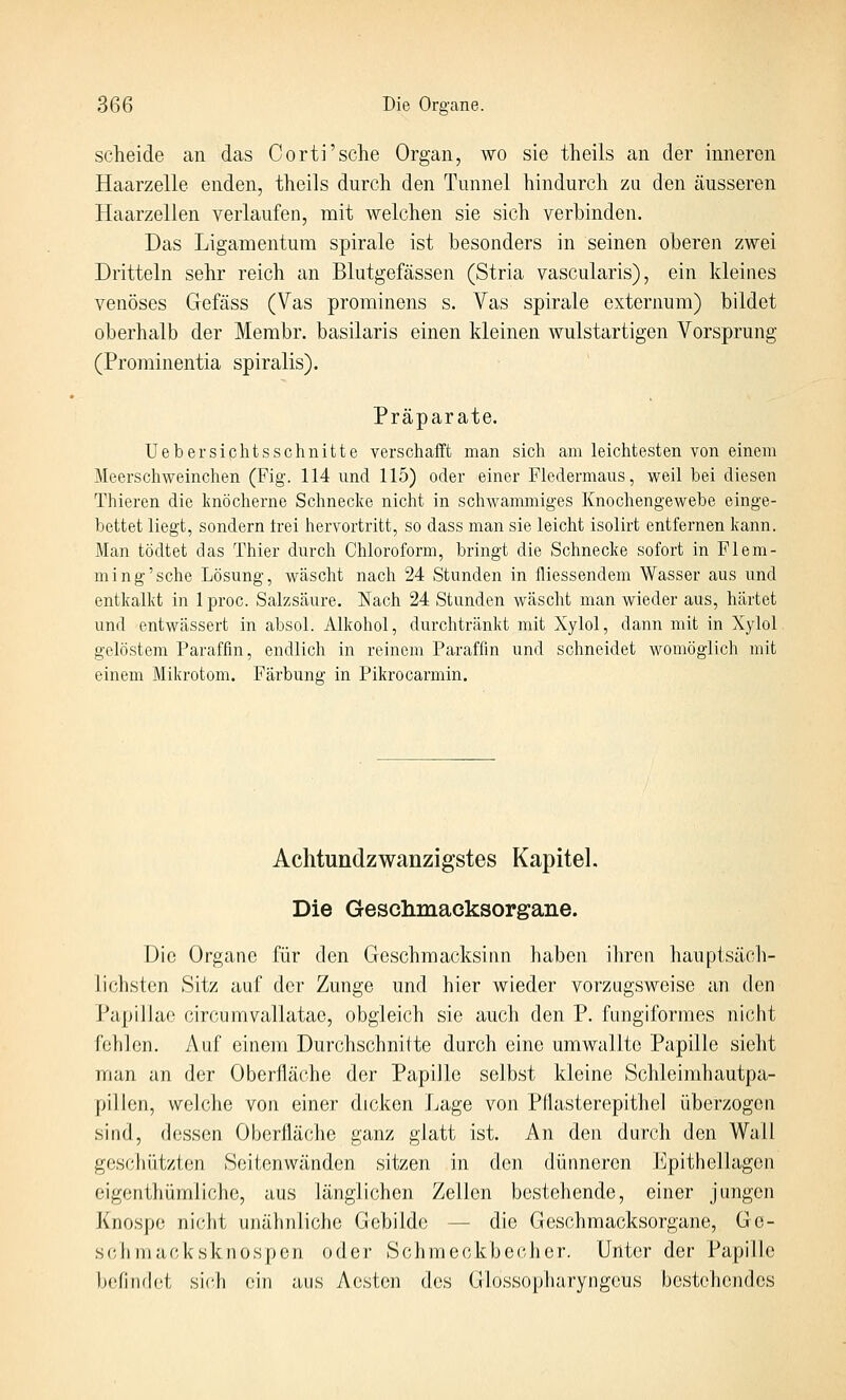 scheide an das Corti'sclie Organ, wo sie theils an der inneren Haarzelle enden, theils durch den Tunnel hindurch za den äusseren Haarzellen verlaufen, mit welchen sie sich verbinden. Das Ligamentum spirale ist besonders in seinen oberen zwei Dritteln sehr reich an Blutgefässen (Stria vascularis), ein kleines venöses Gefäss (Vas prominens s. Vas spirale externum) bildet oberhalb der Membr. basilaris einen kleinen wulstartigen Vorsprung (Prominentia spiralis). Präparate. Uebersiphtsschnitte verschafft man sich am leichtesten von einem Meerschweinchen (Fig. 114 und 115) oder einer Fledermaus, weil bei diesen Thieren die knöcherne Schnecke nicht in schwammiges Knochengewebe einge- bettet liegt, sondern trei hervortritt, so dass man sie leicht isolirt entfernen kann. Man tödtet das Thier durch Chloroform, bringt die Schnecke sofort in Flem- ming'sche Lösung, wäscht nach 24 Stunden in fliessendem Wasser aus und entkalkt in Iproc. Salzsäure. Nach 24 Stunden wäscht man wieder aus, härtet und entwässert in absol. Alkohol, durchtränkt mit Xylol, dann mit in Xylol gelöstem Paraffin, endlich in reinem Paraffin und schneidet womöglich mit einem Mikrotom. Färbuns: in Pikrocarmin. Achtundzwanzigstes Kapitel. Die Gescilmacksorgane. Die Organe für den Geschmacksinn haben ihren hauptsäch- lichsten Sitz auf der Zunge und hier wieder vorzugsweise an den Papulae circumvallatae, obgleich sie auch den P. fiingiformes nicht fehlen. Auf einem Durchschnitte durch eine umwallte Papille sieht man an der Oberfläche der Papille selbst kleine Schleimhautpa- pillen, welche von einer dicken Lage von Pllasterepithel überzogen sind, dessen Oberfläche ganz glatt ist. An den durch den Wall geschützten Scitenwänden sitzen in den dünneren b^pithellagcn eigenthümliche, aus länglichen Zellen bestehende, einer jungen Knospe nicht unähnliche Gebilde — die Geschmacksorgane, Ge- sell nuicksknospen oder Schmeckber-her. Unter der Papille befindet sieh nw aus Aesten des Glossopharyngcus bestehendes