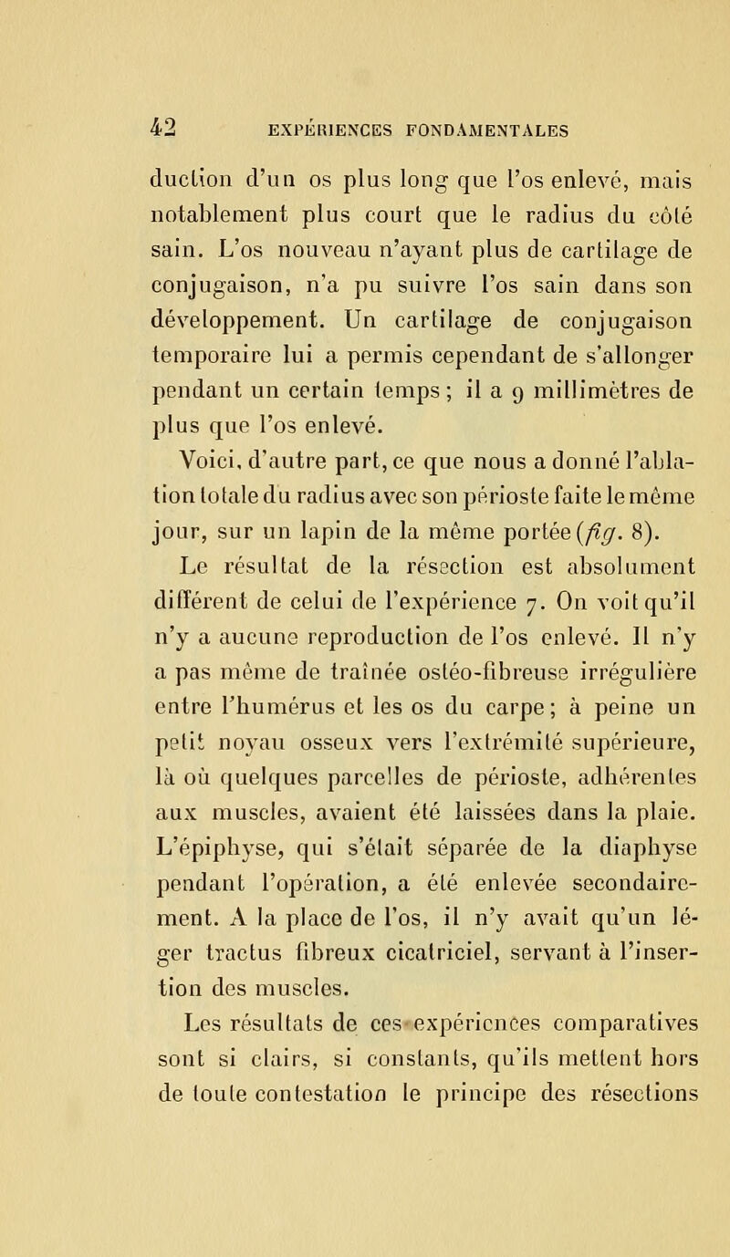 duclion d'un os plus long que l'os enlevé, mais notablement plus court que le radius du côté sain. L'os nouveau n'ayant plus de cartilage de conjugaison, n'a pu suivre l'os sain dans son développement. Un cartilage de conjugaison temporaire lui a permis cependant de s'allonger pendant un certain temps ; il a 9 millimètres de plus que l'os enlevé. Voici, d'autre part, ce que nous a donné l'abla- tion totale du radius avec son périoste faite le même jour, sur un lapin de la même portée (ftg. 8). Le résultat de la résection est absolument différent de celui de l'expérience 7. On voit qu'il n'y a aucune reproduction de l'os enlevé. Il n'y a pas même de traînée ostéo-fibreuss irrégulière entre l'humérus et les os du carpe; à peine un petit noyau osseux vers l'extrémité supérieure, là où quelques parcelles de périoste, adhérentes aux muscles, avaient été laissées dans la plaie. L'épiphyse, qui s'était séparée de la diaphyse pendant l'opération, a été enlevée secondaire- ment. A la place de l'os, il n'y avait qu'un lé- ger tractus fibreux cicatriciel, servant à l'inser- tion des muscles. Les résultats de ces-expériences comparatives sont si clairs, si constants, qu'ils mettent hors de toute contestation le principe des résections
