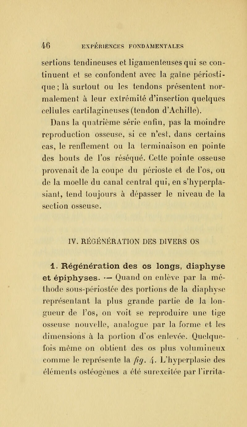 sertions tendineuses et ligamenteuses qui se con- tinuent et se confondent avec la gaîne périosti- que;là surtout ou les tendons présentent nor- malement à leur extrémité d'insertion quelques cellules cartilagineuses (tendon d'Achille). Dans la quatrième série enfin, pas la moindre reproduction osseuse, si ce n'est, dans certains cas, le renflement ou la terminaison en pointe des bouts de l'os réséqué. Cette pointe osseuse provenait de la coupe du périoste et de l'os, ou de la moelle du canal central qui, en s'hyperpla- siant, tend toujours à dépasser le niveau de la section osseuse. IV. RÉGÉNÉRATION DES DIVERS OS 1. Régénération des os longs, diaphyse et épiphyses. — Quand on enlève par la mé- thode sous-périostée des portions de la diaphyse représentant la plus grande partie de la lon- gueur de l'os, on voit se reproduire une tige osseuse nouvelle, analogue par la forme et les dimensions à la portion d'os enlevée. Quelque- fois môme on obtient des os plus volumineux comme le représente la fig. 4- L'hyperplasie des éléments ostéogènes a été surexcitée par l'irrita-