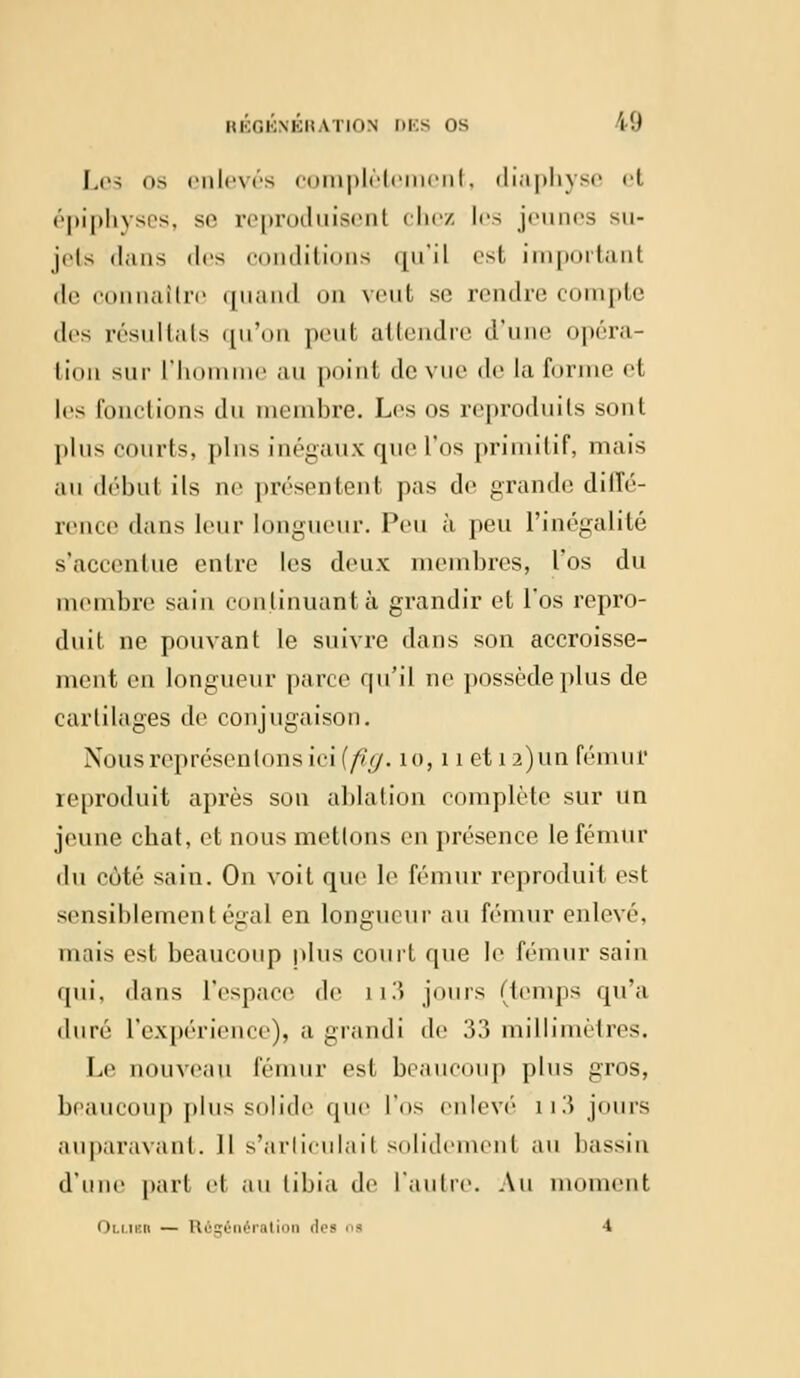 Les os enlevés complètement, diaphyse et épiphyses, se reproduisent chez les jeunes su- jets ilans des conditions qu'il est important de connaître quand on veut se rendre compte «les résultats qu'on peut attendre d'ui péra- liini sur L'homme au point de vue de la forme e1 les fonctions du membre. Les os reproduits sont plus courts, plus inégaux que l'os primitif, mais au début ils ne présentent pas de grande diffé- rence dans leur longueur. Peu à peu l'inégalité s'accentue entre les deux membres, l'os du membre sain continuant à grandir et l'os repro- duit ne pouvant le suivre dans son accroisse- ment en longueur parce qu'il ne possède plus de cartilages de conjugaison. Nous représentons ici {p<j. 10, 11 et 1 a)un fémur reproduit après son ablation complète sur un jeune ebat, et nous mettons en présence le fémur du coté sain. On voit que le fémur reproduit est sensiblement égal en longueur au fémur enlevé, mais est beaucoup plus court que le fémur sain qui, dans l'espace de ll3 jours (temps qu'a duré l'expérience), a grandi de 33 millimètres. Le nouveau fémur est beaucoup plus gros, beaucoup plus solide que l'os enlevé n3 jours auparavant. Il s'arliculail solidemenl au bassin d'une pari et au tibia de l'autre. Au moment ( )i.i im — Régénération dea i • 4