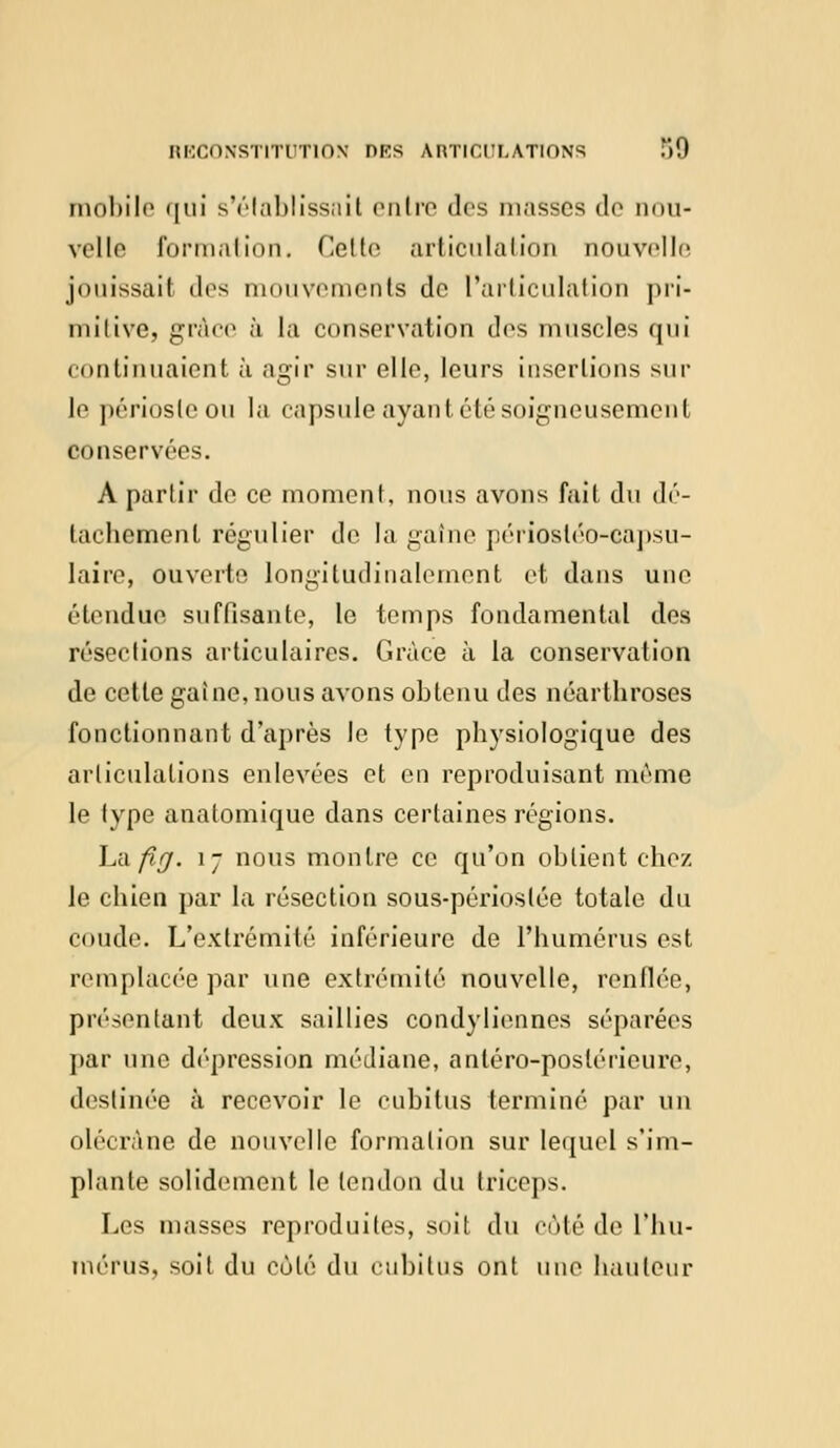 mobile qui s'établissait cuire des masses de nou- vel lo formation. Celle articulation nouvelle jouissaiI des mouvements de l'articulation pri- mitive, grâce à la conservation des muscles qui continuaient à agir sur elle, leurs insertions sui- te périoste ou la capsule ayant été soigneusement conservées. A partir do ce moment, nous avons fait du dé- tachement régulier de la gatne périosléo-capsu- laire, ouverte longitudinalement et clans une étendue suffisante, le temps fondamental des résections articulaires. Grâce à la conservation de cette gaine, nous avons obtenu des néarthroses fonctionnant d'après le type physiologique des articulations enlevées et en reproduisant même le type anatomique dans certaines régions. La/Sgr. 17 nous montre ce qu'on obtient chez le chien par la résection sous-périoslée totale du coude. L'extrémité inférieure de l'humérus est remplacée par une extrémité nouvelle, renflée, présentant deux saillies condyliennes séparées par une dépression médiane, antéro-poslérieure, destinée à recevoir le cubitus terminé par un olécràne de nouvelle formation sur lequel s'im- plante solidement le tendon du triceps. Les niasses reproduites, soit du côté de l'hu- mérus, soit du cùlé du cubitus ont une hauteur