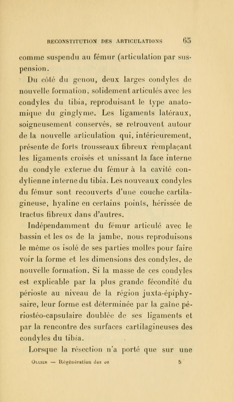 comme suspendu au fémur (articulation par sus- pension . Du côté du genou, deux larges condyles de nouvelle formation, solidement articulés avec les condyles du tibia, reproduisant le type anato- mique du ginglyme. Les ligaments latéraux, soigneusement conservés, se retrouvent autour delà nouvelle articulation qui, intérieurement, présente de forts trousseaux fibreux remplaçant les ligaments croisés et unissant la face interne du condyle externe du fémur à la cavité con- dylienne interne du tibia. Les nouveaux condyles du fémur sont recouverts d'une couche cartila- gineuse, hyaline en certains points, hérissée de tractus fibreux dans d'autres. Indépendamment du fémur articulé avec le bassin et les os de la jambe, nous reproduisons le même os isolé de ses parties molles pour faire voir la forme et les dimensions des condvles, de nouvelle formation. Si la masse de ces condyles est explicable par la plus grande fécondité du périoste au niveau de la région juxta-épiphy- saire, leur forme est déterminée par la gaine pé- riostéo-capsulaire doublée de ses ligaments et par la rencontre des surfaces cartilagineuses des condyles du tibia. Lorsque la résection n'a porté que sur une Oililb — Uùvénùralion îles os 5