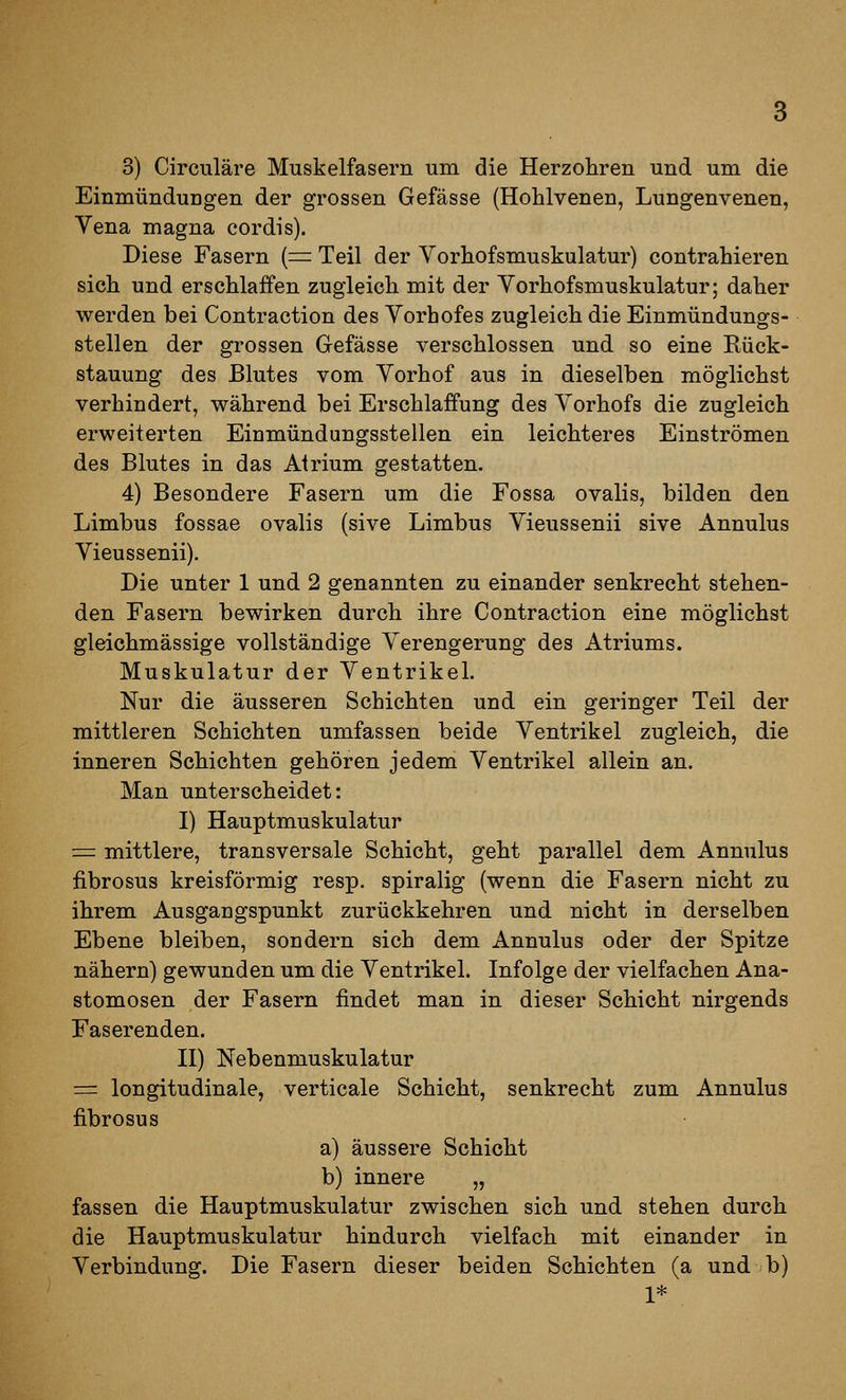 Einmündungen der grossen Gefässe (Hohlvenen, Lungenvenen, Yena magna cordis). Diese Fasern {= Teil der Yorhofsmuskulatur) contrahieren sich und erschlaffen zugleich mit der Yorhofsmuskulatur; daher werden bei Contraction des Yorhofes zugleich die Einmündungs- stellen der grossen Gefässe verschlossen und so eine Kück- stauung des Blutes vom Yorhof aus in dieselben möglichst verhindert, während bei Erschlaffung des Yorhofs die zugleich erweiterten Einmündungsstellen ein leichteres Einströmen des Blutes in das Atrium gestatten. 4) Besondere Fasern um die Fossa ovalis, bilden den Limbus fossae ovalis (sive Limbus Yieussenii sive Annulus Yieussenii). Die unter 1 und 2 genannten zu einander senkrecht stehen- den Fasern bewirken durch ihre Contraction eine möglichst gleichmässige vollständige Yerengerung des Atriums. Muskulatur der Yentrikel. Nur die äusseren Schichten und ein geringer Teil der mittleren Schichten umfassen beide Yentrikel zugleich, die inneren Schichten gehören jedem Yentrikel allein an. Man unterscheidet: I) Hauptmuskulatur = mittlere, transversale Schicht, geht parallel dem Annulus fibrosus kreisförmig resp. spiralig (wenn die Fasern nicht zu ihrem Ausgangspunkt zurückkehren und nicht in derselben Ebene bleiben, sondern sich dem Annulus oder der Spitze nähern) gewunden um die Yentrikel. Infolge der vielfachen Ana- stomosen der Fasern findet man in dieser Schicht nirgends Faserenden. II) Nebenmuskulatur = longitudinale, verticale Schicht, senkrecht zum Annulus fibrosus a) äussere Schicht b) innere „ fassen die Hauptmuskulatur zwischen sich und stehen durch die Hauptmuskulatur hindurch vielfach mit einander in Yerbindung. Die Fasern dieser beiden Schichten (a und b) 1*