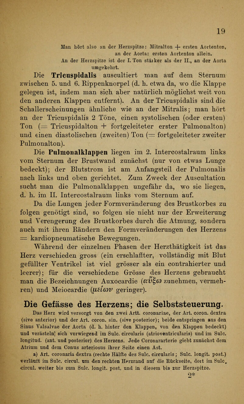 Man hört also an der Herzspitze: Mitralton 4 ersten AortentoD, an der Aorta: ersten Aortenton allein. An der Herzspitze ist der I. Ton stärker als der IL, an der Aorta umgekehrt. Die Tricnspidalis auscultiert man auf dem Sternum zwischen 5. und 6. Rippenknorpel (d. h. etwa da, wo die Klappe gelegen ist, indem man sich aber natürlich möglichst weit von den anderen Klappen entfernt). An der Tricuspidalis sind die Schallerscheinungen ähnliche wie an der Mitralis; man hört an der Tricuspidalis 2 Töne, einen systolischen (oder ersten) Ton {=^ Tricuspidalton + fortgeleiteter erster Pulmonalton) und einen diastolischen (zweiten) Ton (r=: fortgeleiteter zweiter Pulmonalton). Die Pulmoiialklappen liegen im 2. Intercostalraum links vom Sternum der Brustwand zunächst (nur von etwas Lunge bedeckt); der Blutstrom ist am Anfangsteil der Pulmonalis nach links und oben gerichtet. Zum Zweck der Auscultation sucht man die Pulmonalklappen ungefähr da, wo sie liegen, d. h. im IL Intercostalraum links vom Sternum auf. Da die Lungen jeder Formveränderung des Brustkorbes zu folgen genötigt sind, so folgen sie nicht nur der Erweiterung und Verengerung des Brustkorbes durch die Atmung, sondern auch mit ihren Rändern den Formveränderungen des Herzens = kardiopneumatische Bewegungen. Während der einzelnen Phasen der Herzthätigkeit ist das Herz verschieden gross (ein erschlaffter, vollständig mit Blut gefüllter Ventrikel ist viel grösser als ein contrahierter und leerer); für die verschiedene Grösse des Herzens gebraucht man die Bezeichnungen Auxocardie {ccv^OJ zunehmen, vermeh- ren) und Meiocardie {^dcov geringer). Die Gefässe des Herzens; die Selbststeuerung. Das Herz virird versorgt von den zwei Artt. coronariae, der Art. coron. dextra {sive anterior) nnd der Art. coron. sin. (sive posterior); beide entspringen aus den Sinus Valsalvae der Aorta (d. h. hinter den Klappen, von den Klappen bedeckt) und verästeln] sich vorwiegend im Sulc. circularis (atrioventricularis) und im Sulc. longitud. (ant. und posterior) des Herzens. Jede Coronararterie giebt zunächst dem Atrium und dem Conus arteriosus ihrer Seite einen Ast. a) Art. coronaria dextra (rechte Hälfte des Sulc. circularis; Sulc. longit. post.) verläuft im Sulc. circul. um den rechten Herzrand auf die Rückseite, dort im Sulc, «circul. weiter bis zum Sulc. longit. post. und in diesem bis zur Herzspitze. 2*