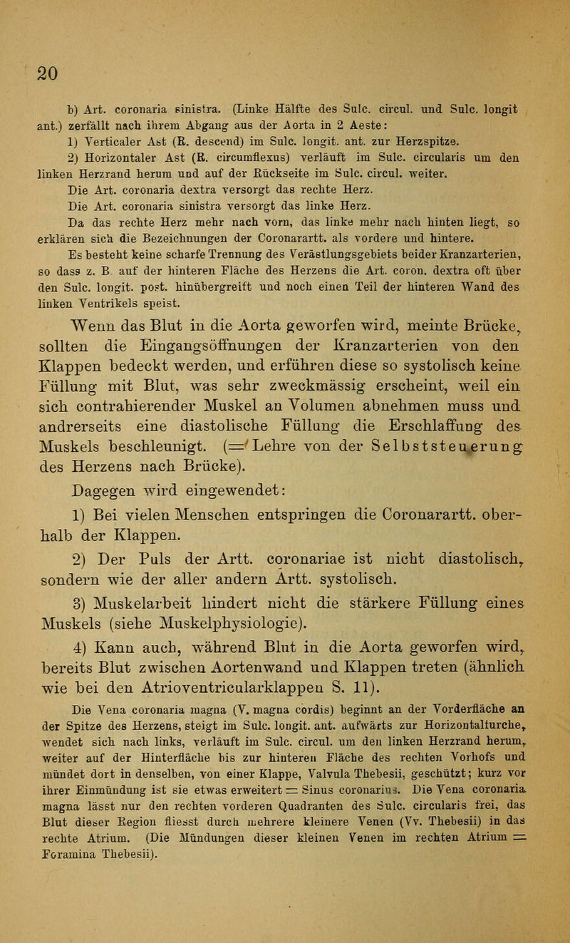 b) Art. coronaria sinistra. (Linke Hälfte des Sulc. circul. und Sulc. longit ant.) zerfällt nach ihrem Abgang aus der Aorta in 2 Aeste: 1) Verticaler Ast (R. descend) im Sulc. longit. ant. zur Herzspitze. 2) Horizontaler Ast (R. circumflexus) verläuft im Sulc. circularis um den linken Herzrand herum und auf der Rückseite im Sulc. circul. weiter. Die Art. coronaria dextra versorgt das rechte Herz. Die Art. coronaria sinistra versorgt das linke Herz. Da das rechte Herz mehr nach vorn, das linke mehr nach hinten liegt, so erklären sich die Bezeichnungen der Coronarartt. als vordere und hintere. Es besteht keine scharfe Trennung des Verästlungsgebiets beider Kranzarterien, so dass z. B- auf der hinteren Fläche des Herzens die Art. coron. dextra oft über den Sulc. longit. poi=t. hinübergreift und noch einen Teil der hinteren Wand des linken Ventrikels speist. Wenn das Blut in die Aorta geworfen wird, meinte Brücke^ sollten die Eingangs Öffnungen der Kranzarterien von den Klapi3en bedeckt werden, und erführen diese so systolisch keine Füllung mit Blut, was sehr zweckmässig erscheint, weil ein sich contrahierender Muskel an Yolumen abnehmen muss und andrerseits eine diastolische Füllung die Erschlaffung des Muskels beschleunigt. (^'Lehre von der Selbststeujerung des Herzens nach Brücke). Dagegen wird eingewendet: 1) Bei vielen Menschen entspringen die Coronarartt. ober- halb der Klappen. 2) Der Puls der Artt. coronariae ist nicht diastolisch^ sondern wie der aller andern Artt. systolisch. 3) Muskelarbeit hindert nicht die stärkere Füllung eines Muskels (siehe Muskelphysiologie). 4) Kann auch, während Blut in die Aorta geworfen wird,, bereits Blut zwischen Aortenwand und Klappen treten (ähnlich wie bei den Atrioventricularklappen S. 11). Die Vena coronaria magna (V. magna cordis) beginnt an der Vorderfläche an der Spitze des Herzens, steigt im Sulc. longit. ant. aufwärts zur Horizontalturche, wendet sich nach links, verläuft im Sulc. circul. um den linken Herzrand herum, weiter auf der Hinterfläche bis zur hinteren Fläche des rechten Vorhofs und mündet dort in denselben, von einer Klappe, Valvula Thebesii, geschützt; kurz vor ihrer Einmündung ist sie etwas erweitert =z Sinus coronarius. Die Vena coronaria. magna lässt nur den rechten vorderen Quadranten des Sulc. circularis frei, das Blut dieser Kegion fliesst durch mehrere kleinere Venen (Vv. Thebesii) in das rechte Atrium. (Die Mündungen dieser kleinen Venen im rechten Atrium =. Foramina Thebesii).