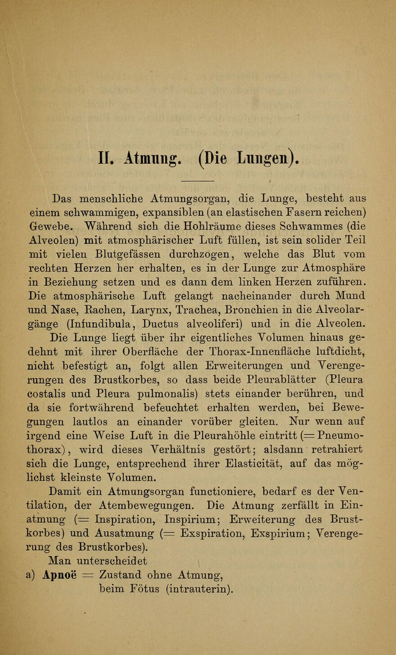 II. Atmung. (Die Lungen). Das menschliche Atmungsorgan, die Lunge, besteht aus einem schwammigen, expansiblen (an elastischen Fasern reichen) Gewebe. Während sich die Hohlräume dieses Schwammes (die Alveolen) mit atmosphärischer Luft füllen, ist sein solider Teil mit vielen Blutgefässen durchzogen, welche das Blut vom rechten Herzen her erhalten, es in der Lunge zur Atmosphäre in Beziehung setzen und es dann dem linken Herzen zuführen. Die atmosphärische Luft gelangt nacheinander durch Mund imd Nase, Rachen, Larynx, Trachea, Bronchien in die Alveolar- gänge (Infundibula, Ductus alveoliferi) und in die Alveolen. Die Lunge liegt über ihr eigentliches Volumen hinaus ge- dehnt mit ihrer Oberfläche der Thorax-Innenfläche luftdicht, nicht befestigt an, folgt allen Erweiterungen und Verenge- rungen des Brustkorbes, so dass beide Pleurablätter (Pleura costalis und Pleura pulmonalis) stets einander berühren, und da sie fortwährend befeuchtet erhalten werden, bei Bewe- gungen lautlos an einander vorüber gleiten. Nur wenn auf irgend eine Weise Luft in die Pleurahöhle eintritt (= Pneumo- thorax) , wird dieses Verhältnis gestört; alsdann retrahiert sich die Lunge, entsprechend ihrer Elasticität, auf das mög- lichst kleinste Volumen. Damit ein Atmungsorgan functioniere, bedarf es der Ven- tilation, der Atembewegungen. Die Atmung zerfällt in Ein- atmung (= Inspiration, Inspirium; Erweitenmg des Brust- korbes) und Ausatmung (= Exspiration, Exspirium; Verenge- rung des Brustkorbes). Man unterscheidet a) Apnoe = Zustand ohne Atmung, beim Fötus (intrauterin).