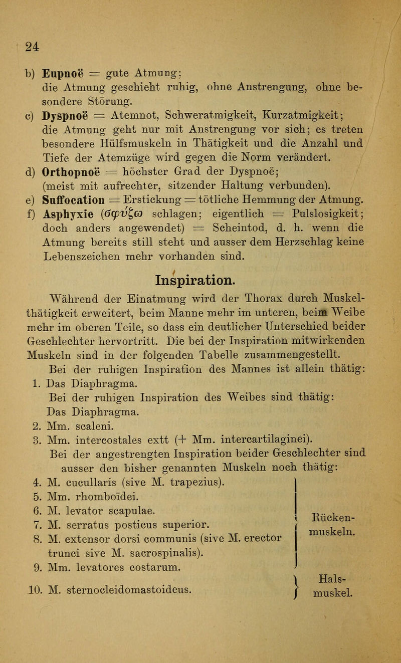 b) Enpnoe = gute Atmung; die Atmung geschieht ruhig, ohne Anstrengung, ohne be- sondere Störung. c) Dyspnoe = Atemnot, Schweratmigkeit, Kurzatmigkeit; die Atmung geht nur mit Anstrengung vor sich; es treten besondere Hülfsmuskeln in Thätigkeit und die Anzahl und Tiefe der Atemzüge wird gegen die Norm verändert. d) Orthopnoe = höchster Grad der Dyspnoe; (meist mit aufrechter, sitzender Haltung verbunden). e) Saffocatiou = Erstickung := tötliche Hemmung der Atmung. f) Asphyxie {(5(pvt,co schlagen; eigentlich = Pulslosigkeit; doch anders angewendet) = Scheintod, d. h. wenn die Atmung bereits still steht und ausser dem Herzschlag keine Lebenszeichen mehr vorhanden sind. Inspiration. Während der Einatmung wird der Thorax durch Muskel- thätigkeit erweitert, beim Manne mehr im unteren, beim Weibe mehr im oberen Teile, so dass ein deutlicher Unterschied beider Geschlechter hervortritt. Die bei der Inspiration mitwirkenden Muskeln sind in. der folgenden Tabelle zusammengestellt. Bei der ruhigen Inspiration des Mannes ist allein thätig: 1. Das Diaphragma. Bei der ruhigen Inspiration des Weibes sind thätig: Das Diaphragma. 2. Mm. scaleni. 3. Mm. intercostales extt (+ Mm. intercartilaginei). Bei der angestrengten Inspiration beider Geschlechter sind ausser den bisher genannten Muskeln noch thätig: 4. M. cucullaris (sive M. trapezius). 5. Mm. rhomboidei. 6. M. levator scapulae. 7. M. serratus posticus superior. j 8. M. extensor dorsi communis (sive M. erector trunci sive M. sacrospinalis). 9. Mm. levatores costarum. \ Hals- 10. M. sternocleidomastoideus. r muskel. Kücken- muskeln.