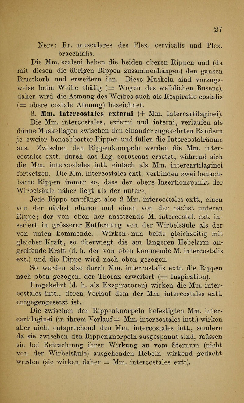 Nerv: Er. musculares des Plex. cervicalis und Plex. bracchialis. Die Mm. scaleni heben die beiden oberen Rippen und (da mit diesen die übrigen Rippen zusammenhängen) den ganzen Brustkorb und erweitern ihn. Diese Muskeln sind vorzugs- weise beim Weibe thätig {■= Wogen des weiblichen Busens), daher wird die Atmung des Weibes auch als Respiratio costalis (= obere costale Atmung) bezeichnet. 3. Mm. intercostales exteriii (+ Mm. intercartilaginei). Die Mm. intercostales, externi und interni, verlaufen als dünne Muskellagen zwischen den einander zugekehrten Rändern je zweier benachbarter Rippen und füllen die Intercostalräume aus. Zwischen den Rippenknorpeln werden die Mm. inter- costales extt. durch das Lig. coruscans ersetzt, während sich die Mm. intercostales intt. einfach als Mm. intercartilaginei fortsetzen. Die Mm. intercostales extt. verbinden zwei benach- barte Rippen immer so, dass der obere Insertionspunkt der AVirbelsäule näher liegt als der untere. Jede Rippe empfängt also 2 Mm. intercostales extt., einen von der nächst oberen und einen von der nächst unteren Rippe; der von oben her ansetzende M. intercostal. ext. in- seriert in grösserer Entfernung von der Wirbelsäule als der von unten kommende. Wirken - nun beide gleichzeitig mit gleicher Kraft, so überwiegt die am längeren Hebelarm an- greifende Kraft (d. h. der von oben kommende M. intercostalis ext.) und die Rippe wird nach oben gezogen. So werden also durch Mm. intercostalis extt. die Rippen nach oben gezogen, der Thorax erweitert (= Inspiration). Umgekehrt (d. h. als Exspiratoren) wirken die Mm. inter- costales intt., deren Verlauf dem der Mm. intercostales extt. entgegengesetzt ist. Die zwischen den Rippenknorpeln befestigten Mm. inter- cartilaginei (in ihrem Verlaufs Mm. intercostales intt.) wirken aber nicht entsprechend den Mm. intercostales intt., sondern da sie zwischen den Rippenknorpeln ausgespannt sind, müssen sie bei Betrachtung ihrer Wirkung an vom Sternum (nicht von der Wirbelsäule) ausgehenden Hebeln wirkend gedacht werden (sie wirken daher = Mm. intercostales extt).