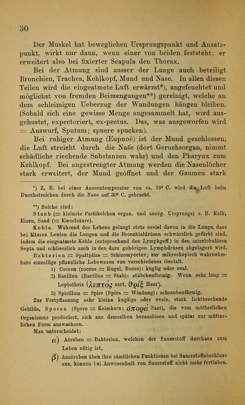 Der Muskel hat beweglichen Ursprungspunkt und Ansatz- punkt, wirkt nur dann, wenn einer von beiden feststeht: er erweitert also bei fixierter Scapula den Thorax. Bei der Atmung sind ausser der LuDge auch beteiligt Bronchien, Trachea, Kehlkopf, Mund und Nase. In allen diesen Teilen wird die eingeatmete Luft erwärmt*), angefeuchtet und möglichst von fremden Beimengungen**) gereinigt, welche an dem schleimigen Ueberzug der Wandungen hängen bleiben. (Sobald sich eine gewisse Menge angesammelt hat, wird aus- gehustet, expectoriert, ex-pectus. Das, was ausgeworfen wird = Auswurf, Sputum; spuere spucken). Bei ruhiger Atmung (Eupnoe) ist der Mund geschlossen, die Luft streicht durch die Nase (dort Geruchsorgan, nimmt schädliche riechende Substanzen wahr) und den Pharynx zum Kehlkopf. Bei angestrengter Atmung werden die Nasenlöcher stark erweitert, der Mund geöffnet und der Gaumen stark *) Z. B. bei einer Aussentemperatnr von ca. 10 C. wird die_ Luft beim Durchstreichen durch die Nase auf SO C. gebracht. *') Solche sind: Staub (r= kleinste Partikelchen organ. und anorg. Ursprungs) z. B. Kalk, Eisen, Sand (r= Kieselsäure). Kohle. Während des Lebens gelangt stets soviel davon in die Lunge, dass bei älteren Leuten die Lungen und die Bronchialdrüsen schwärzlich gefärbt sind, indem die eingeatmete Kohle (entsprechend den LymphgefF.) in den interlobulären Septa und schliesslich auch in den dazu gehörigen Lymphdrüsen abgelagert wird. B'akterien = Spaltpilze = Schizomycetes; nur mikroskopisch wahrnehm- bare einzellige pflanzliche Lebewesen von verschiedener Gestalt. 1) Coccen (coccus =. Kugel, Beere): kuglig oder oval. 2) Bacillen (Bacillus = Stab): stäbchenförmig. Wenn sehr lang = Leptothrix {X^lttOg zart, -O'^t'^ Haar). 3) Spirillum r= Spiro (Spira = Windung): schraubenförmig. Zur Fortpflanzung sehr kleine kuglige oder ovale, stark lichtbrechende Gebilde, Sporen (Spore = Keimkorn; öjro^« ^aat), die vom mütterlichen Organismus produciert, sich aus demselben herauslösen und später zur mütter- lichen Form auswachsen. Man unterscheidet: a) Aeroben =: Bakterien, welchen der Sauerstoff durchaus zum Leben nötig ist, S) Anaeroben üben ihre sämtlichen Funktionen bei Sauerstoffabschluss aus, können tei Anwesenheit von Sauerstoff nicht mehr fortleben.