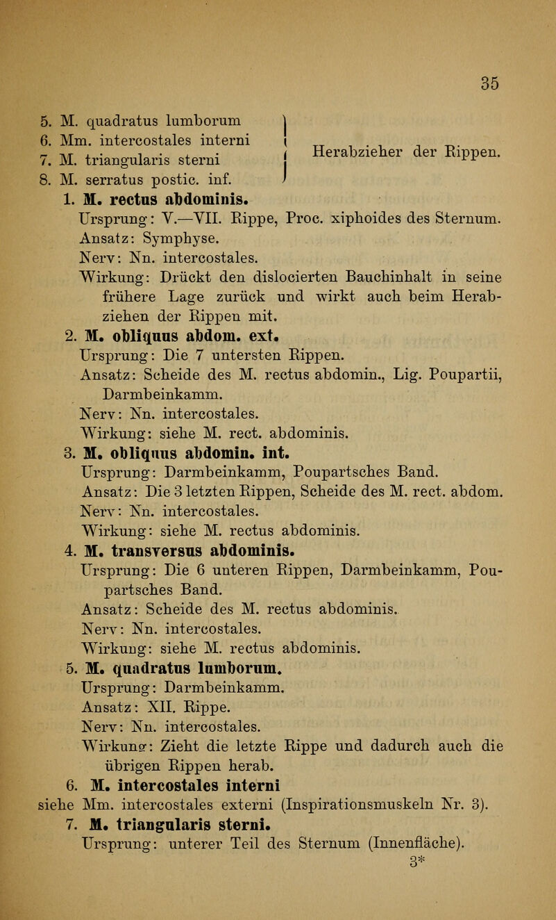 5. M. quadratus lumborum | 6. Mm. intercostales interni ( -, . , t -r.. r- TS.T j. • 1 • 4. • i Herabziener der Bippen. 7. M. triangularis sterni ^^ 8. M. serratus postic. inf. -' 1. M. rectns abdominis. Ursprung: Y.—VIL Rippe, Proc. xiplioides des Sternum. Ansatz: Symphyse. Nerv: Nn. intercostales. Wirkung: Drückt den dislocierten Baucliinhalt in seine frühere Lage zurück und wirkt auch beim Herab- ziehen der Rippen mit. 2. M. o1)liq[aas abdom. ext. Ursprung: Die 7 untersten Rippen. Ansatz: Scheide des M. rectus abdomin., Lig. Poupartii, Darmbeinkamm. Nerv: Nn. intercostales. Wirkung: siehe M. rect. abdominis. 3. M. obliquus abdomin. int. Ursprung: Darmbeinkamm, Poupartsches Band. Ansatz: Die 3 letzten Rippen, Scheide des M. rect. abdom. Nerv: Nn. intercostales. Wirkung: siehe M. rectus abdominis. 4. M. transYersns abdominis. Ursprung: Die 6 unteren Rippen, Darmbeinkamm, Pou- partsches Band. Ansatz: Scheide des M. rectus abdominis. Nei'v: Nn. intercostales. Wirkung: siehe M. rectus abdominis. 5. M. qundratns lamborum« Ursprung: Darmbeinkamm. Ansatz: XII. Rippe. Nerv: Nn. intercostales. Wirkuns: Zieht die letzte Rippe und dadurch auch die übrigen Rippen herab. 6. M. intercostales interni siehe Mm. intercostales externi (Inspirationsmuskeln Nr. 3). 7. M. triangalaris sterni. Ursprung: unterer Teil des Sternum (Innenfläche). 3*