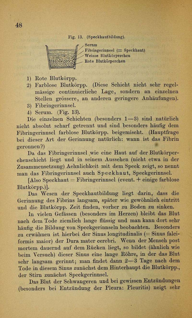 Fig. 13. (Speckhautbildang). Sernm Fibringerinnsel (r= Speckhaut) Weisse Blutkörperchen Eote Blutkörperchen 1) Rote Blutkörpp. 2) Farblose Blutkörpp. (Diese Schidat nicht sehr regel- mässige continuierliclie Lage, sondern an einzelnen Stellen grössere, an anderen geringere Anhäufungen). 3) Fibringerinnsel. 4) Serum. (Fig. 13). Die einzelnen Schichten (besonders 1—3) sind natürlich nicht absolut scharf getrennt und sind besonders häufig dem Fibringerinnsel farblose Blutkörpp. beigemischt. (Hauptfrage bei dieser Art der Gerinnung natürlich: wann ist das Fibrin geronnen?) Da das Fibringerinnsel wie eine Haut auf der Blutkörper- chenschicht liegt und in seinem Aussehen (nicht etwa in der Zusammensetzung) Aehnlichkeit mit dem Speck zeigt, so nennt man das Fibringerinnsel auch Speckhaut, Speckgerinnsel. [Also Speckhaut = Fibringerinnsel (event. + einige farblose Blutkörpp.)]. Das Wesen der Speckhautbildung liegt darin, dass die Gerinnung des Fibrins langsam, später wie gewöhnlich eintritt und die Blutkörpp. Zeit finden, vorher zu Boden zu sinken. In vielen Gefässen (besonders im Herzen) bleibt das Blut nach dem Tode ziemlich lange flüssig und man kann dort sehr häufig die Bildung von Speckgerinnseln beobachten. Besonders zu erwähnen ist hierbei der Sinus longitudinalis {= Sinus falci- formis maior) der Dura mater cerebri. Wenn der Mensch post mortem dauernd auf dem Rücken liegt, so bildet (ähnlich wie beim Versuch) dieser Sinus eine lange Röhre, in der das Blut sehr langsam gerinnt; man findet dann 2—3 Tage nach dem Tode in diesem Sinus zunächst dem Hinterhaupt die Blutkörpp., der Stirn zunächst Speckgerinnsel. Das Blut der Schwangeren und bei gewissen Entzündungen (besonders bei Entzündung der Pleura: Pleuritis) neigt sehr