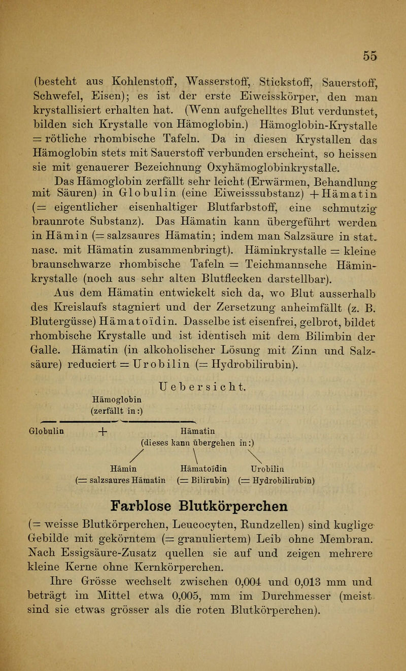 (besteht aus Kohlenstoff, Wasserstoff',. Stickstoff, Sauerstoff, Schwefel, Eisen); es ist der erste Eiweisskörper, den man krystallisiert erhalten hat. (Wenn aufgehelltes Blut verdunstet, bilden sich Krystalle von Hämoglobin.) Hämoglobin-Krystalle = rötliche rhombische Tafeln. Da in diesen Krystallen das Hämoglobin stets mit Sauerstoff verbunden erscheint, so heissen sie mit genauerer Bezeichnung Oxyhämoglobinkrystalle. Das Hämoglobin zerfällt sehr leicht (Erwärmen, Behandlung mit Säuren) in Globulin (eine Eiweisssubstanz) +Hämatin (= eigentlicher eisenhaltiger Blutfarbstoff, eine schmutzig- braunrote Substanz). Das Hämatin kann übergeführt werden in Hämin (= salzsaures Hämatin; indem man Salzsäure in stat, nasc. mit Hämatin zusammenbringt). Häminkrystalle = kleine braunschwarze rhombische Tafeln = Teichmannsche Hämin- krystalle (noch aus sehr alten Blutflecken darstellbar). Aus dem Hämatin entwickelt sich da, wo Blut ausserhalb des Kreislaufs stagniert und der Zersetzung anheimfällt (z. B. Blutergüsse) Hämatoidin. Dasselbe ist eisenfrei, gelbrot, bildet rhombische Krystalle und ist identisch mit dem Bilimbin der Galle. Hämatin (in alkoholischer Lösung mit Zinn und Salz- säure) reduciert = Urobilin (= Hydrobilirubin). lieber sieht. Hämoglobin (zerfällt in:) Globulin -{- Hämatin (dieses kann übergehen in:) / \ \ Hämin Hämatoidin ürobiliu (r:= salzsaures Hämatin (^Bilirubin) (r= Hydrobilirubin) Farblose Blutkörperchen [— weisse Blutkörperchen, Leucocyten, Bundzellen) sind kugiige Gebilde mit gekörntem (= granuliertem) Leib ohne Membran. Nach Essigsäure-Zusatz quellen sie auf und zeigen mehrere kleine Kerne ohne Kernkörperchen. Ihre Grösse wechselt zwischen 0,004 und 0,013 mm und beträgt im Mittel etwa 0,005, mm im Durchmesser (meist sind sie etwas grösser als die roten Blutkörperchen).