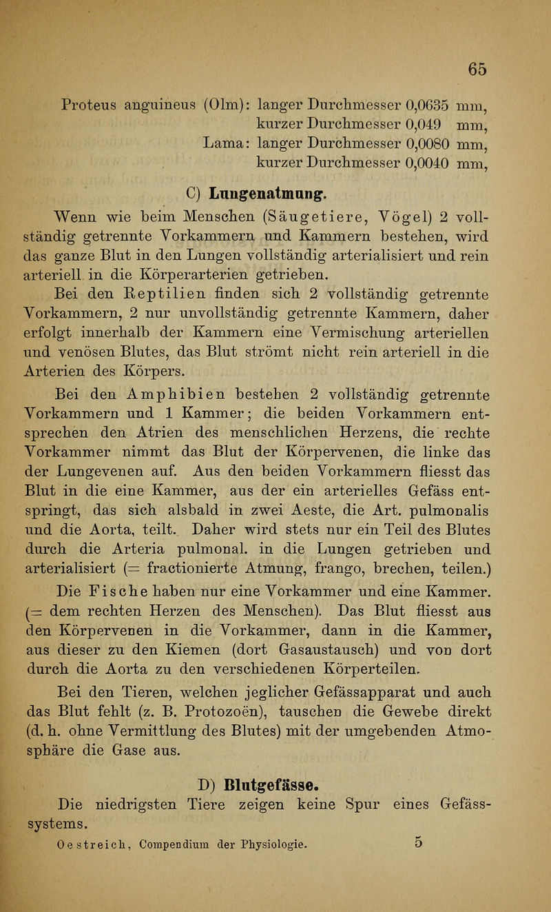 Proteus anguineus (01m): langer Durchmesser 0,0635 mm, kurzer Durchmesser 0,049 mm, Lama: langer Durchmesser 0,0080 mm, kurzer Durchmesser 0,0040 mm, C) Lungenatmang. Wenn wie beim Menschen (Säugetiere, Vögel) 2 voll- ständig getrennte Vorkammern und Kammern bestehen, wird das ganze Blut in den Lungen vollständig arterialisiert und rein arteriell in die Körperarterien getrieben. Bei den Reptilien finden sich 2 vollständig getrennte Vorkammern, 2 nur unvollständig getrennte Kammern, daher erfolgt innerhalb der Kammern eine Vermischung arteriellen und venösen Blutes, das Blut strömt nicht rein arteriell in die Arterien des Körpers. Bei den Amphibien bestehen 2 vollständig getrennte Vorkammern und 1 Kammer; die beiden Vorkammern ent- sprechen den Atrien des menschlichen Herzens, die rechte Vorkammer nimmt das Blut der Körpervenen, die linke das der Lungevenen auf. Aus den beiden Vorkammern fliesst das Blut in die eine Kammer, aus der ein arterielles Gefäss ent- springt, das sich alsbald in zwei Aeste, die Art. pulmonalis und die Aorta, teilt. Daher wird stets nur ein Teil des Blutes durch die Arteria pulmonal, in die Lungen getrieben und arterialisiert (= fractionierte Atmung, frango, brechen, teilen.) Die Fische haben nur eine Vorkammer und eine Kammer. I— dem rechten Herzen des Menschen). Das Blut fliesst aus den Körpervenen in die Vorkammer, dann in die Kammer, aus dieser zu den Kiemen (dort Gasaustausch) und von dort durch die Aorta zu den verschiedenen Körperteilen. Bei den Tieren, welchen jeglicher Gefässapparat und auch das Blut fehlt (z. B. Protozoen), tauschen die Gewebe direkt (d. h. ohne Vermittlung des Blutes) mit der umgebenden Atmo- sphäre die Gase aus. D) Blutgefässe. Die niedrigsten Tiere zeigen keine Spur eines Gefäss- systems. Oestreicli, Compendium der Physiologie. 5