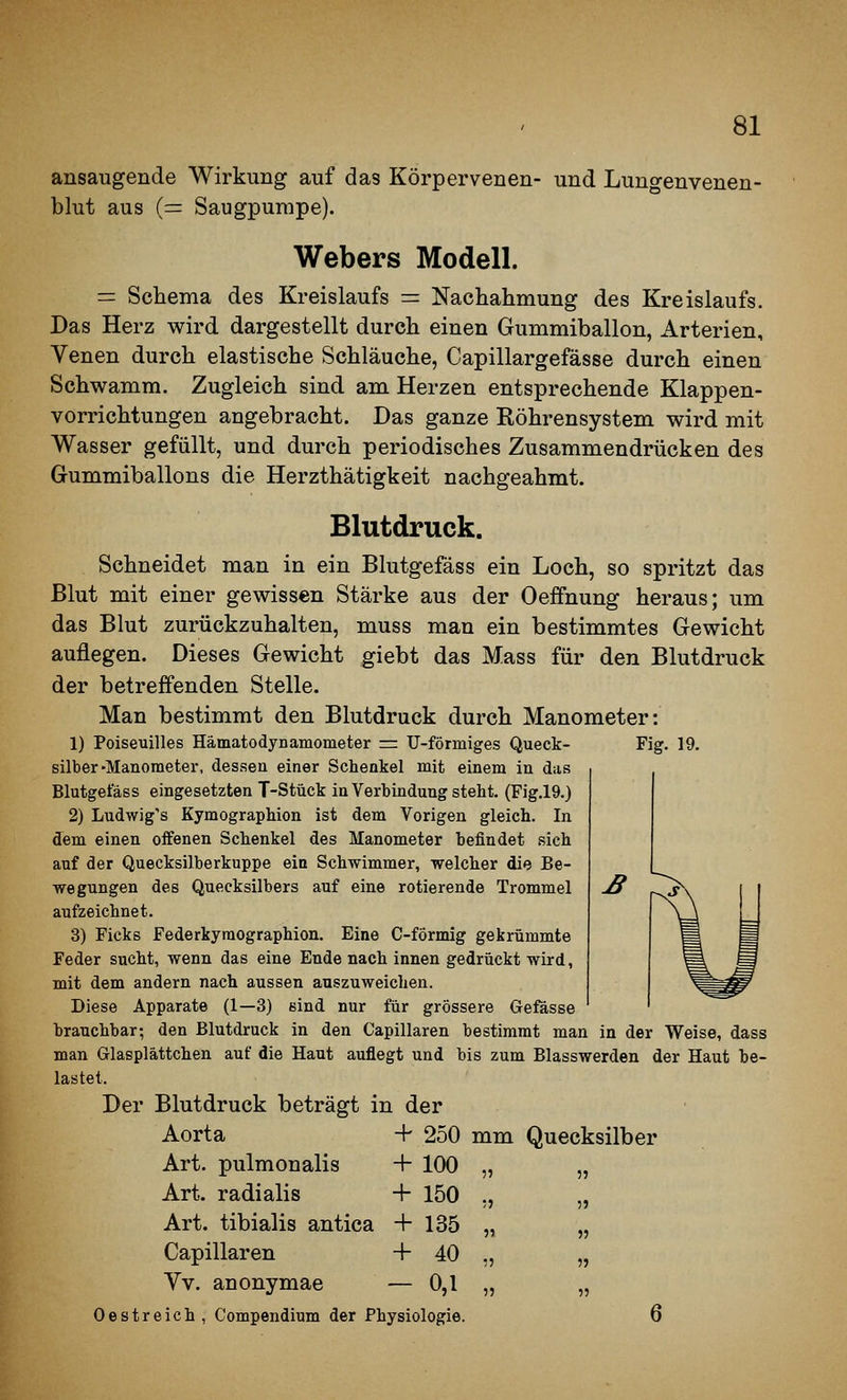 ansaugende Wirkung auf das Körpervenen- und Lungenvenen- blut aus (= Saugpumpe). Webers Modell. = Schema des Kreislaufs = Nachahmung des Kreislaufs. Das Herz wird dargestellt durch einen Gummiballon, Arterien, Venen durch elastische Schläuche, Capillargefässe durch einen Schwamm. Zugleich sind am Herzen entsprechende Klappen- vorrichtungen angebracht. Das ganze Köhrensystem wird mit Wasser gefüllt, und durch periodisches Zusammendrücken des Gummiballons die Herzthätigkeit nachgeahmt. Blutdruck. Schneidet man in ein Blutgefäss ein Loch, so spritzt das Blut mit einer gewissen Stärke aus der Oeffnung heraus; um das Blut zurückzuhalten, muss man ein bestimmtes Gewicht auflegen. Dieses Gewicht giebt das Mass für den Blutdruck der betreffenden Stelle. Man bestimmt den Blutdruck durch Manometer: 1) Poiseuilles Hämatodynamometer = U-fönniges Queck- Fig. 19. Silber-Manometer, dessen einer Schenkel mit einem in das Blutgefäss eingesetzten T-Stück in Verbindung steht. (Fig.l9.) 2) Ludwig's Kymographion ist dem Vorigen gleich. In dem einen offenen Schenkel des Manometer befindet sich auf der Quecksilberkuppe ein Schwimmer, welcher die Be- wegungen des Quecksilbers auf eine rotierende Trommel aufzeichnet. 3) Ficks Federkyraographion. Eine C-fÖrmig gekrümmte Feder sucht, wenn das eine Ende nach innen gedrückt wird, mit dem andern nach aussen auszuweichen. Diese Apparate (1—3) sind nur für grössere Gefässe brauchbar; den Blutdruck in den Capillaren bestimmt man in der Weise, dass man Glaeplättchen auf die Haut auflegt und bis zum Blasswerden der Haut be- lastet. Der Blutdruck beträgt in der Aorta + 250 mm Quecksilber Art. pulmonalis + 100 „ Art. radialis + 150 „ Art. tibialis antica + 135 „ Capillaren + 40 „ Vv. anonymae - 0,1 „ Oestreich, Compendium der Physiologie.