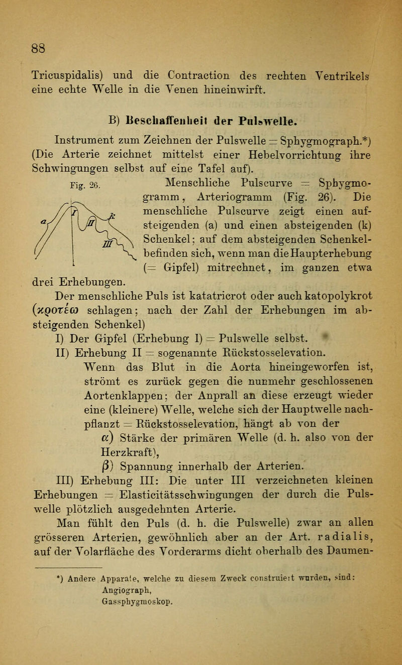 Tricuspidalis) und die Contraction des rechten Ventrikels eine echte Welle in die Venen hineinwirft. B) liescbaffeiilieh der Pulswelle. Instrument zum Zeichnen der Pulswelle = Sphygmograph.*) (Die Arterie zeichnet mittelst einer Hebelvorrichtung ihre Schwingungen selbst auf eine Tafel auf). Fig. 26. Menschliche Pulscurve — Sphygmo- gramm, Arteriogramm (Fig. 26). Die menschliche Pulscurve zeigt einen auf- steigenden (a) und einen absteigenden (k) Schenkel: auf dem absteigenden Schenkel- befinden sich, wenn man die Haupterhebung ' (= Gipfel) mitrechnet, im ganzen etwa drei Erhebungen. Der menschliche Puls ist katatricrot oder auch katopolykrot {KQOteco schlagen; nach der Zahl der Erhebungen im ab- steigenden Schenkel) I) Der Gipfel (Erhebung 1) = Pulswelle selbst. II) Erhebung II = sogenannte Rückstosselevation. V^^enn das Blut in die Aorta hineingeworfen ist, strömt es zurück gegen die nunmehr geschlossenen Aortenklappen; der Anprall an diese erzeugt wieder eine (kleinere) Welle, welche sich der Hauptwelle nach- pflanzt = Eückstosselevation, hängt ab von der cc) stärke der primären Welle (d. h. also von der Herzkraft), ß) Spannung innerhalb der Arterien. III) Erhebung III: Die unter III verzeichneten kleinen Erhebungen = Elasticitätsschwingungen der durch die Puls- welle plötzlich ausgedehnten Arterie. Man fühlt den Puls (d. h. die Pulswelle) zwar an allen grösseren Arterien, gewöhnlich aber an der Art. radialis, auf der Volarfläche des Vorderarms dicht oberhalb des Daumen- *) Andere Appara'.e, welche zu diesem Zweck construieit wnrden, Ani: Angiograph, Gassphygmoskop.