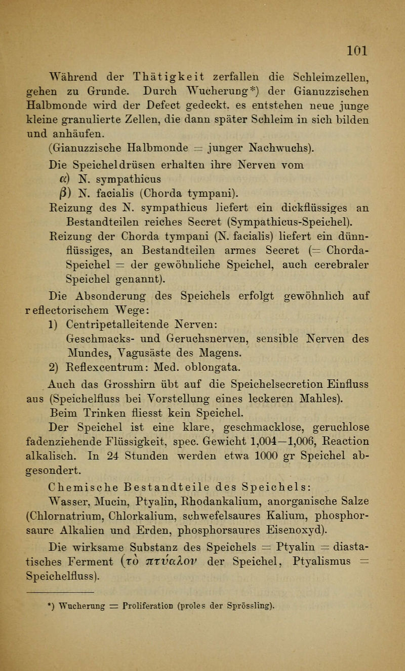 Während der Thätigkeit zerfallen die Schleimzellen, gehen zu Grunde. Durch Wucherung*) der Gianuzzischen Halbmonde ^Yird der Defect gedeckt, es entstehen neue junge kleine granulierte Zellen, die dann später Schleim in sich bilden und anhäufen. (Gianuzzische Halbmonde = junger Nachwuchs). Die Speicheldrüsen erhalten ihre Kerven vom cc) N. syrapathicus ß) N. facialis (Chorda tympani). Reizung des N. sympathicus liefert ein dickflüssiges an Bestandteilen reiches Secret (Sympathicus-Speichel). ReizuDg der Chorda tympani (N. facialis) liefert ein dünn- flüssiges, an Bestandteilen armes Secret {= Chorda- Speichel = der gewöhnliche Speichel, auch cerebraler Speichel genannt). Die Absonderung des Speichels erfolgt gewöhnlich auf r eflectorischem Wege: 1) Centripetalleitende Nerven: Geschmacks- und Geruchsnerven, sensible Nerven des Mundes, Yagusäste des Magens. 2) Eeflexcentrum: Med. oblongata. Auch das Grosshirn übt auf die Speichelsecretion Einfluss aus (Speichelfluss bei Yorstellung eines leckeren Mahles). Beim Trinken fliesst kein Speichel. Der Speichel ist eine klare, geschmacklose, geruchlose fadenziehende Flüssigkeit, spec. Gewicht 1,004—1,006, Eeaction alkaliseh. In 24 Stunden werden etwa 1000 gr Speichel ab- gesondert. Chemische Bestandteile des Speichels: Wasser, Mucin, Ptyalin, Ehodankalium, anorganische Salze (Chlornatrium, Chlorkalium, schwefelsaures Kalium, phosphor- saure Alkalien und Erden, phosphorsaures Eisenoxyd). Die wirksame Substanz des Speichels = Ptyalin = diasta- tisches Ferment (to TCtvaXov der Speichel, Ptyalismus = Speichelfluss). *) Wuclierung =: Proliferation (proles der Sprössling).