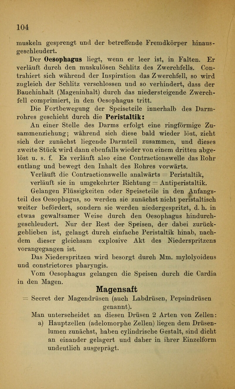muskeln ges]orengt und der betreffende Fremdkörper hinaus- geschleudert. Der Oesophagrns liegt, wenn er leer ist, in Falten. Er verläuft durch den muskulösen Schlitz des Zwerchfells. Con- trahiert sich während der Inspiration das Zwerchfell, so wird zugleich der Schlitz verschlossen und so verhindert, dass der Bauchinhalt (Mageninhalt) durch das niedersteigende Zwerch- fell comprimiert, in den Oesophagus tritt. Die Fortbewegung der Speiseteile innerhalb des Darm- rohres geschieht durch die Peristaltik: An einer Stelle des Darms erfolgt eine ringförmige Zu- sammenziehung; während sich diese bald wieder löst, zieht sich der zunächst liegende Darmteil zusammen, und dieses zweite Stück wird dann ebenfalls wieder von einem dritten abge- löst u. s. f. Es verläuft also eine Contractionswelle das Eohr entlang und bewegt den Inhalt des Rohres vorwärts. Verläuft die Contractionswelle analwärts =:: Peristaltik, verläuft sie in umgekehrter Richtung = Antiperistaltik. Gelangen Flüssigkeiten oder Speiseteile in den Anfangs- teil des Oesophagus, so werden sie zunächst nicht peristaltisch weiter befördert, sondern sie werden niedergespritzt, d. h. in etwas gewaltsamer Weise durch den Oesophagus hindurch- geschleudert. Nur der Rest der Speisen, der dabei zurück- geblieben ist, gelangt durch einfache Peristaltik hinab, nach- dem dieser gleichsam explosive Akt des Niederspritzens vorangegangen ist. Das Niederspritzen wird besorgt durch Mm. mylolyoideus und constrictores pharyngis. Vom Oesophagus gelangen die Speisen durch die Cardia in den Magen. Magensaft = Secret der Magendrüsen (auch Labdrüsen, Pepsindrüsen genannt). Man unterscheidet an diesen Drüsen 2 Arten von Zellen: a) Hauptzellen (adelomorphe Zellen) liegen dem Drüsen- lumen zunächst, haben cylindrische Gestalt, sind dicht an einander gelagert und daher in ihrer Einzelform undeutlich ausgeprägt.