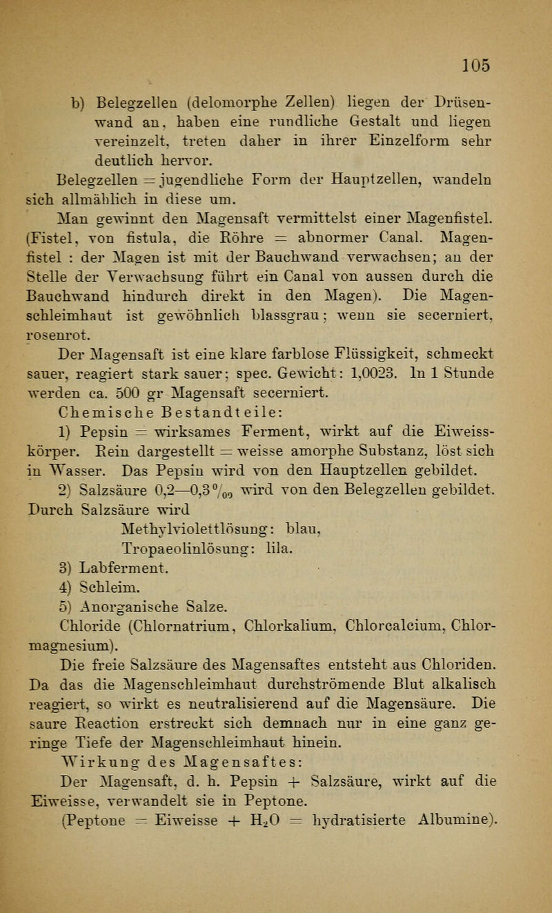 b) Belegzellen (clelomorphe Zellen) liegen der Drüsen- wand an. haben eine rundliche Gestalt und liegen vereinzelt, treten daher in ihrer Einzelform sehr deutlich hervor. Belegzellen = jugendliche Form der Hauptzellen, wandeln sich allmählich in diese um. Man gewinnt den Magensaft vermittelst einer Magenfistel. (Fistel, von fistula. die Röhre = abnormer Canal. Magen- fistel : der Magen ist mit der Bauchwand verwachsen; an der Stelle der Verwachsung führt ein Canal von aussen durch die Bauchwand hindurch direkt in den Magen). Die Magen- schleimhaut ist gewöhnlich blassgrau; wenn sie secerniert, rosenrot. Der Magensaft ist eine klare farblose Flüssigkeit, schmeckt sauer, reagiert stark sauer: spec. Gewicht: 1,0023. In 1 Stunde werden ca. 500 gr Magensaft secerniert. Chemische Bestandteile: 1) Pepsin — wirksames Ferment, wirkt auf die Eiweiss- körper. Eein dargestellt = weisse amorphe Substanz, löst sich in Wasser. Das Pepsin wird von den Hauptzellen gebildet. 2) Salzsäure 0,2—0,3 °oo '^i'tl von den Belegzellen gebildet. Durch Salzsäure wird Methylviolettlösung: blau, Tropaeolinlösung: lila. 3) Labferment. 4) Schleim. 5) Anorganische Salze. Chloride (Chlornatrium. Chlorkalium, Chlorcalcium, Chlor- magnesium). Die freie Salzsäure des Magensaftes entsteht aus Chloriden. Da das die Magenschleimhaut durchströmende Blut alkalisch reagiert, so wirkt es neutralisierend auf die Magensäure. Die saure Pieaction erstreckt sich demnach nur in eine ganz ge- ringe Tiefe der Magenschleimhaut hinein. Wirkung des Magensaftes: Der Magensaft, d. h. Pepsin + Salzsäure, wirkt auf die Eiweisse, verwandelt sie in Peptone. (Peptone — Eiweisse + H^O = hydratisierte Albumine).