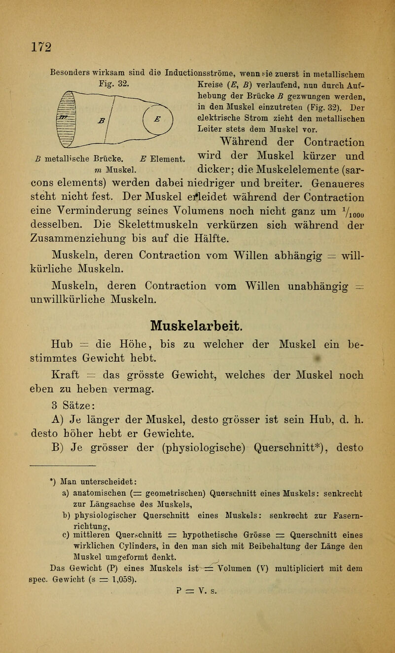 Besonders wirksam sind die Inductionsströme, wenn sie zuerst in metallischem Fig. 32. Kreise (£■, B) verlaufend, nun durch Auf- hebung der Brücke B gezwungen werden, in den Muskel einzutreten (Fig. 32). Der elektrische Strom zieht den metallischen Leiter stets dem Muskel vor. Während der Contraction B metallische Brücke. E Element, ^^'d ^er Muskel kürzer und m Muskel. dicker; die Muskelelemente (sar- cons elements) werden dabei niedriger und breiter. Genaueres steht nicht fest. Der Muskel ei*leidet während der Contraction eine Verminderung seines Volumens noch nicht ganz um Vicoo desselben. Die Skelettmuskeln verkürzen sich während der Zusammenziehung bis auf die Hälfte. Muskeln, deren Contraction vom Willen abhängig = will- kürliche Muskeln. Muskeln, deren Contraction vom Willen unabhängig = unwillkürliche Muskeln. Muskelarbeit. Hub = die Höhe, bis zu welcher der Muskel ein be- stimmtes Gewicht hebt. Kraft = das grösste Gewicht, welches der Muskel noch eben zu heben vermag. 3 Sätze: A) Je länger der Muskel, desto grösser ist sein Hub, d. h. desto höher hebt er Gewichte. B) Je grösser der (physiologische) Querschnitt*), desto *) Man unterscheidet: a) anatomischen (= geometrischen) Querschnitt eines Muskels: senkrecht zur Längsachse des Muskels, h) physiologischer Querschnitt eines Muskels: senkrecht zur Fasem- richtung, c) mittleren Querschnitt :r: hypothetische Grösse z= Querschnitt eines wirklichen Cylinders, in den man sich mit Beibehaltung der Länge den Muskel umgeformt denkt. Das Gewicht (P) eines Muskels ist -== Volumen (V) multipliciert mit dem spec. Gewicht (s =r 1,058). P = V. s.