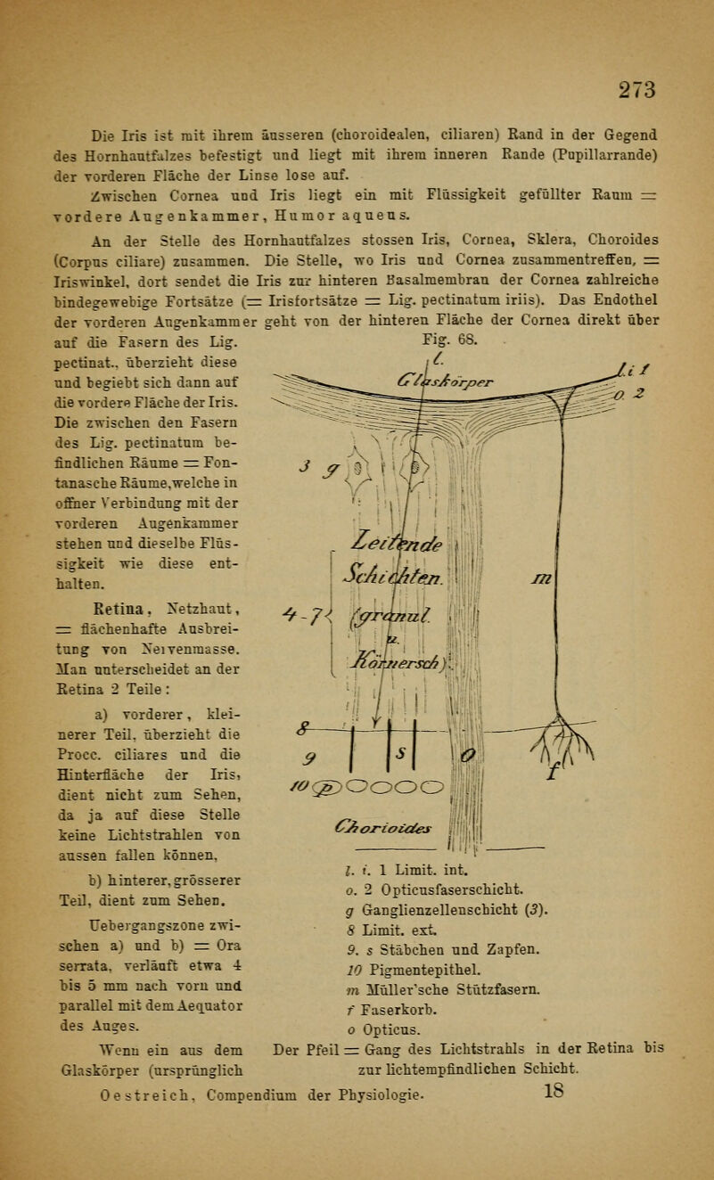 Die Iris ist mit ihrem äusseren (choroidealen, ciliaren) Rand in der Gegend des Hornhautfulzes befestigt und liegt mit ihrem inneren Rande (Pupillarrande) der Vorderen Fläche der Linse lose auf. Zwischen Cornea und Iris liegt ein mit Flüssigkeit gefüllter Raum =z Tordere Augenkammer, Humor aqueus. An der Stelle des Hornhautfalzes stossen Iris, Cornea, Sklera, Choroides (Corpus ciliare) zusammen. Die Stelle, wo Iris und Cornea zusammentreffen, = Iriswinkel, dort sendet die Iris zur hinteren Basalmembran der Cornea zahlreiche bindegewebige Fortsätze (= Irisfortsätze = Lig. pectinatum iriis). Das Endothel der vorderen Augenkammer geht von der hinteren Fläche der Cornea direkt über auf die Fasern des Lig. pectinat.. überzieht diese und begiebt sich dann auf die vordere Fläche der Iris. Die zwischen den Fasern des Lig. pectinatum be- findlichen Räume ^= Fon- tanascheEäume.welche in offner Verbindung mit der vorderen Augenkammer stehen und dieselbe Flüs- sigkeit wie diese ent- halten. Retina. Netzhaut, r= flächenhafte Ausbrei- tung von Xeivenmasse. Man unterscheidet an der Retina 2 Teile: a) vorderer, klei- nerer Teil, überzieht die Procc. ciliares und die Hinterfläche der Iris, dient nicht zum Sehen, da Ja auf diese Stelle keine Lichtstrahlen von aussen fallen können, b) hinterer, grösserer TeU, dient zum Sehen. Ilebergangszone zwi- schen a) und b) = Ora serrata. verläuft etwa -i bis 5 mm nach vorn und parallel mit dem Aeiiuator des Auges. Wenn ein aus dem Glaskörper (ursprünglich 9 I l-^l I «5^ l. i. 1 Limit, int. o. 2 Opticusfaserschicht. g Ganglienzellenschicht (5). 8 Limit, ext. 9. s Stäbchen und Zapfen. 10 Pigmentepithel. m Müller'sche Stützfasern. f Faserkorb. 0 Opticus. Der Pfeil r= Gang des Lichtstrahls in der Retina bis znr lichtempfindlichen Schicht. Oestreich. Compendium der Physiologie. lö