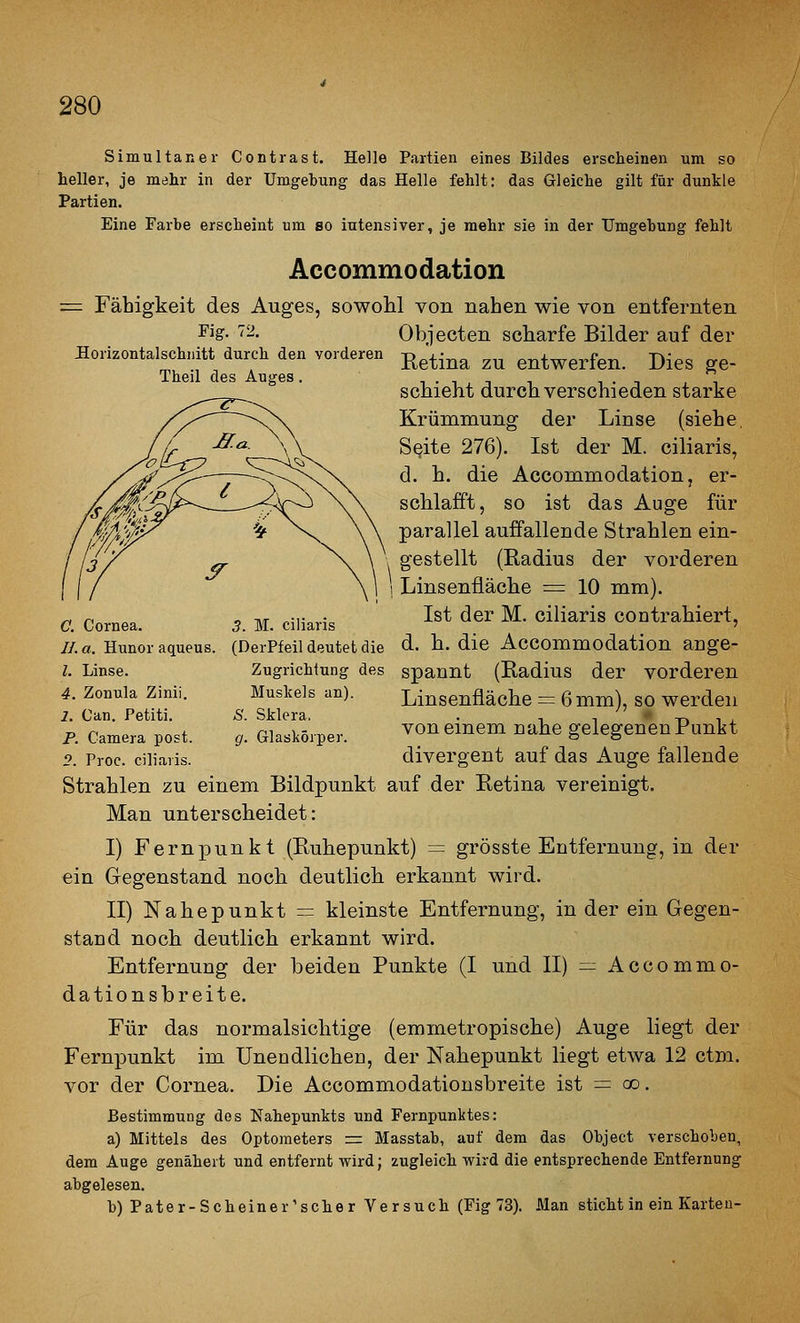 Simultaner Contrast. Helle Partien eines Bildes erscheinen um so heller, je mehr in der Umgebung das Helle fehlt: das Gleiche gilt für dunkle Partien. Eine Farbe erscheint um so intensiver, je mehr sie in der Umgebung fehlt Accommodation = Fähigkeit des Auges, sowohl von nahen wie von entfernten Fig. 72. ilorizontalschiiitt durch den vorderen Theil des Auges. C Cornea. //. a. Hunor aqueus. l. Linse. 4. Zonula Zinii. 1, Can. Petiti. P. Camera post. 2. Proc. ciliavis. 3. M. ciliaris (DerPfeil deutet die Zugrichiung des Muskels an). S. Sklera. g. Glaskörper. Objecten scharfe Bilder auf der Retina zu entwerfen. Dies ge- schieht durch verschieden starke Krümmung der Linse (siehe S^ite 276). Ist der M. ciliaris, d. h. die Accommodation, er- schlafft, so ist das Auge für parallel auffallende Strahlen ein- gestellt (Eadius der vorderen Linsenfläche =: 10 mm). Ist der M. ciliaris coDtrahiert, d. h. die Accommodation ange- spannt (Radius der vorderen Linsenfläche == 6 mm), so werden von einem nahe gelegeneu Punkt divergent auf das Auge fallende Strahlen zu einem Bildpunkt auf der Retina vereinigt. Man unterscheidet: I) Fernpunkt (Ruhepunkt) = grösste Entfernung, in der ein Gegenstand noch deutlich erkannt wird. II) Nahepunkt — kleinste Entfernung, in der ein Gegen- stand noch deutlich erkannt wird. Entfernung der beiden Punkte (I und II) — Accommo- dationsbreite. Für das normalsichtige (emmetropische) Auge liegt der Fernpunkt im Unendlichen, der Nahepunkt liegt etwa 12 ctm. vor der Cornea. Die Accommodationsbreite ist = co. Bestimmung des Nahepunkts und Fernpunktes: a) Mittels des Optometers = Masstab, auf dem das Object verschoben, dem Auge genähert und entfernt wird; zugleich wird die entsprechende Entfernung abgelesen. b) Pater-Scheiner'scher Versuch (Fig 73). Man sticht in ein Karten-