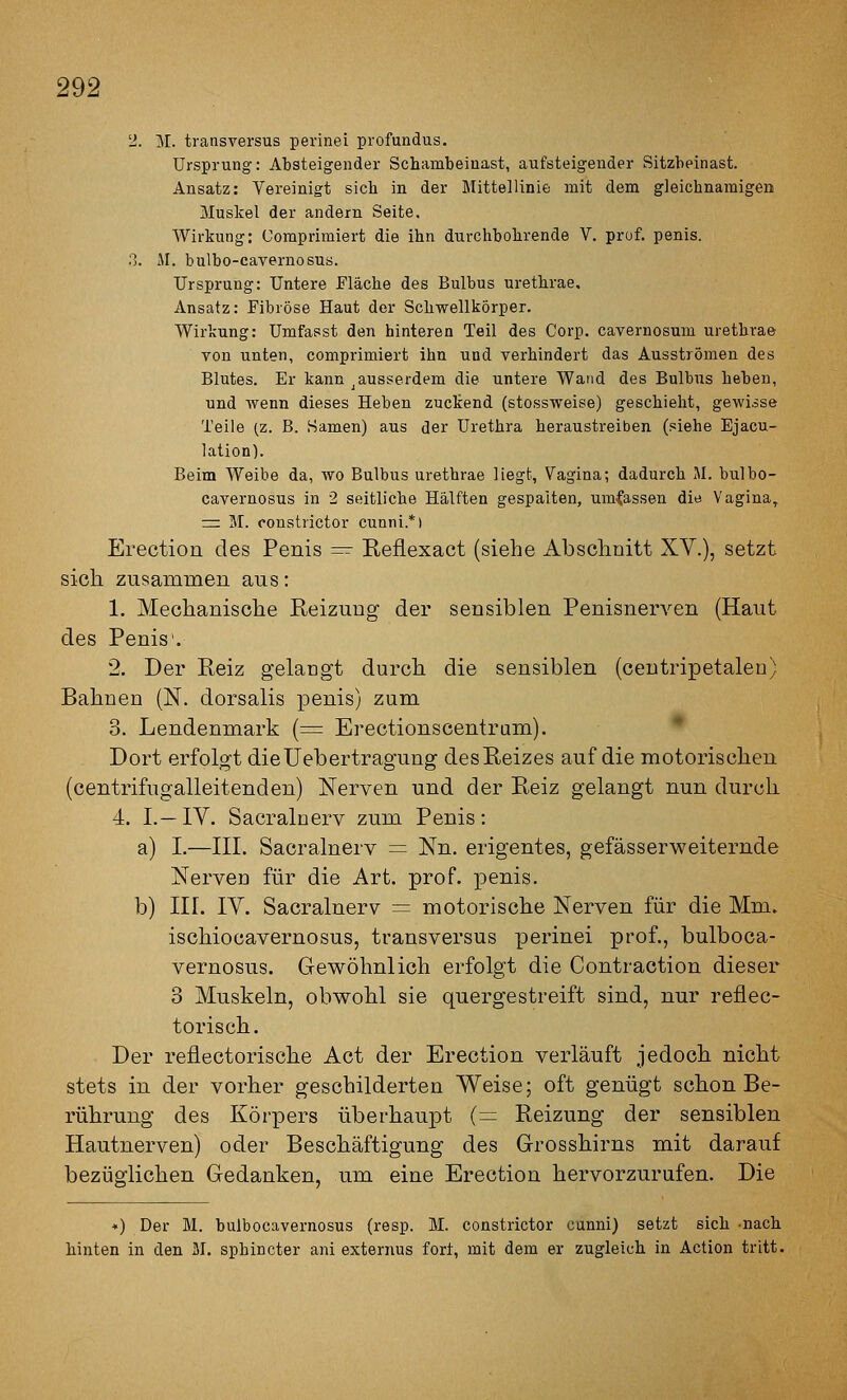 2. M. transversus perinei profundus. Ursprung: Absteigender Schambeiuast, aufsteigender Sitzbeinast. Ansatz: Vereinigt sich in der Mittellinie mit dem gleichnamigen Muskel der andern Seite. Wirkung: Comprimiert die ihn durchbohrende V. prüf, penis. 3. JI. bulbo-cavernosus. Ursprung: Untere Fläche des Bulbus urethrae. Ansatz: Fibröse Haut der Schwellkörper. Wirkung: Umfasst den hinteren Teil des Corp. cavernosum urethrae von unten, comprimiert ihn und verhindert das Ausströmen des Blutes. Er kann ^ausserdem die untere Wand des Bulbus heben, und wenn dieses Heben zuckend (stossweise) geschieht, gewisse Teile (z. B. Samen) aus der Urethra heraustreiben (siehe Ejacu- lation). Beim Weibe da, wo Bulbus urethrae liegt, Vagina; dadurch M. bulbo- cavernosus in 2 seitliche Hälften gespalten, umfassen die Vagina^ := M. constrictor cunni.*) Erection des Penis =^ Keflexact (siehe Abschnitt XV.), setzt sich zusammen aus: 1. Mechanische Reizung der sensiblen Penisnerven (Haut des Penis'. 2. Der Reiz gelangt durch die sensiblen (centripetalen) Bahnen (N. dorsalis penis) zum 3. Lendenmark (= Erectionscentrum). * Dort erfolgt die Uebertragung des Reizes auf die motorischen (centrifugalleitenden) Nerven und der Reiz gelangt nun durch 4. L—IV. Sacralnerv zum Penis: a) I.—in. Sacralnerv = Nn. erigentes, gefässerweiternde Nerven für die Art. pro f. penis. b) III. IV. Sacralnerv = motorische Nerven für die Mm. ischiocavernosus, transversus perinei prof., bulboca- vernosus. Gewöhnlich erfolgt die Contraction dieser 3 Muskeln, obwohl sie quergestreift sind, nur reflec- torisch. Der reflectorische Act der Erection verläuft jedoch nicht stets in der vorher geschilderten Weise; oft genügt schon Be- rührung des Körpers überhaupt (= Reizung der sensiblen Hautnerven) oder Beschäftigung des Grosshirns mit darauf bezüglichen Gedanken, um eine Erection hervorzurufen. Die ■«) Der M. bulbocavernosus (resp. M. constrictor cunni) setzt sich -nach hinten in den M. sphincter ani externus fort, mit dem er zugleich in Action tritt.