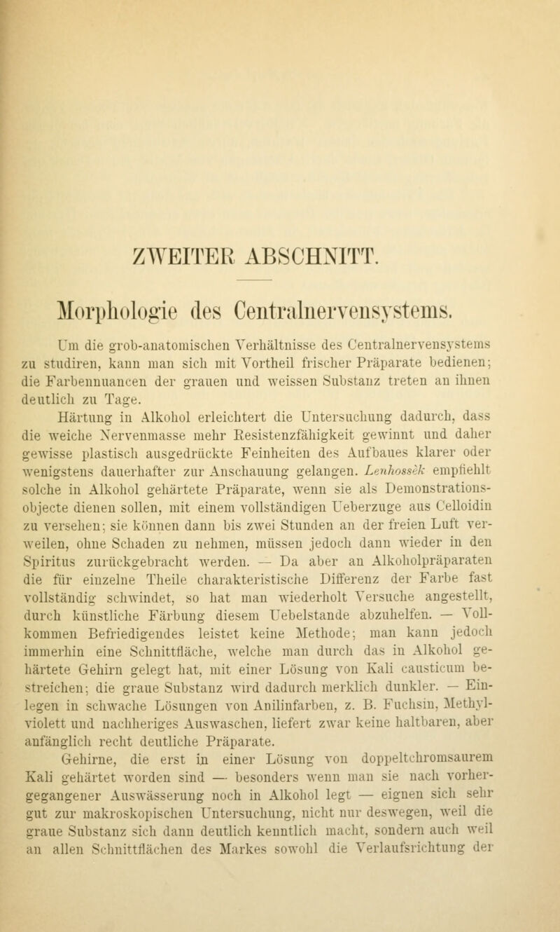 ZWEITER ABSCHNITT. Morphologie des Centraliiervensystems. Um die grob-anatomischen Verhältnisse des Centralnervensystems zu Studiren, kann man sich mit Vortheil frischer Präparate bedienen; die Farbennuancen der grauen und weissen Substanz treten an ihnen deutlich zu Tage. Härtung in Alkohol erleichtert die Untersuchung dadurch, dass die weiche Xervenmasse mehr Eesistenzfähigkeit gewinnt und daher gewisse plastisch ausgedrückte Feinheiten des Aufbaues klarer oder wenigstens dauerhafter zur Anschauung gelangen. Lenhosstk empfiehlt solche in Alkohol gehärtete Präparate, wenn sie als Demonstrations- objecte dienen sollen, mit einem vollständigen Ueberzuge aus Celloidiu zu versehen; sie können dann bis zwei Stunden an der freien Luft ver- weilen, ohne Schaden zu nehmen, müssen jedoch dann wieder in den Spiritus zurückgebracht werden. — Da aber an Alkoholpräparaten die für einzelne Theile charakteristische Differenz der Farbe fast vollständig scliAvindet, so hat man wiederholt Versuche angestellt, durch künstliche Färbung diesem Uebelstande abzuhelfen. — Voll- kommen Befriedigendes leistet keine Methode; man kann jedoch immerhin eine Schnittfläche, welche man durch das in Alkohol ge- härtete Gehirn gelegt hat, mit einer Lösung von Kali causticum be- streichen; die graue Substanz wird dadurch merklich dunkler. — Ein- legen in schwache Lösungen von Anilinfarben, z. B. Fuchsin, Methyl- violett und nachheriges Auswaschen, liefert zwar keine haltbaren, aber anfänglich recht deutliche Präparate. Gehirne, die erst in einer Lösung von doppeltchromsaurem Kali gehärtet worden sind — besonders wenn man sie nach vorher- gegangener Auswässerung noch in Alkohol legt — eignen sich sehr gut zur makroskopischen Untersuchung, nicht nur deswegen, weil die graue Substanz sich dann deutlich kenntlich macht, sondern auch weil an allen Schnittflächen des Markes sowohl die Verlaufsrichtung der
