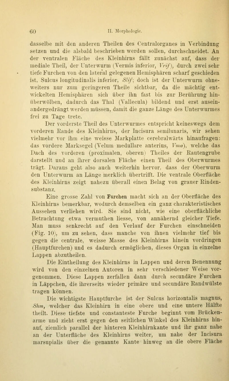 (50 II. Muriiliologie. dasselbe mit den anderen Theilen des Centralorganes in Verbindung setzen und die alsbald beschrieben werden sollen, durchschneidet. An der ventralen Fläche des Kleinhirns fällt zunächst auf, dass dei' mediale Theil, der Unterwurm (Vermis inferior, Vrif), durch zwei sehr tiefe Furchen von den lateral gelegenen Hemisphären scharf geschieden ist, Sulcus longitudinalis inferior, Slif; doch ist der Uuterwurm ohne- weiters nur zum geringeren Theile sichtbar, da die mächtig ent- wickelten Hemisphären sich über ihn fast bis zur Berührung hin- überwölben, dadurch das Thal (Vallecula) bildend und erst ausein- andergedrängt werden müssen, damit die ganze Länge des Unterwurmes frei zu Tage trete. Der vorderste Theil des Unterwurmes entspricht keineswegs dem vorderen Rande des Kleinhirns, der Incisura semilunaris, wir sehen vielmehr vor ihm eine weisse Markplatte cerebralwärts hinaufragen: das vordere Marksegel (Velum medulläre anterius, Vma), welche das Dach des vorderen (proximalen, oberen) Theiles der Rautengrube darstellt und an ihrer dorsalen Fläche einen Theil des Oberwurmes trägt. Daraus geht also auch weiterhin hervor, dass der Oberwurm den Unterwurm an Länge merklich übertritft. Die ventrale Oberfläche des Kleinhirns zeigt nahezu überall einen Belag von grauer Rinden- substanz. Eine grosse Zahl von Furchen macht sich au der Oberfläche des Kleinhirns bemerkbar, wodurch demselben ein ganz charakteristisches Aussehen verliehen wird. Sie sind nicht, wie eine oberflächliche Betrachtung etwa vermuthen Hesse, von annähernd gleicher Tiefe. Man muss senkrecht auf den Verlauf der Furchen einschneiden (Fig. lOj, um zu sehen, dass manche von ihnen vielmehr tief bis gegen die centrale, weisse Masse des Kleinhirns hinein vordringen (Hauptfurchen) und es dadurch ermöglichen, dieses Organ in einzelne Lappen abzutheilen. Die Eintheilung des Kleinhirns in Lappen und deren Benennung wird von den einzelnen Autoren in sehr verschiedener Weise vor- genommen. Diese Lappen zerfallen dann durch secundäre Furchen in Läppchen, die ihrerseits wieder primäre und secundäre Raudwülste tragen können. Die wichtigste Hauptfurche ist der Sulcus horizontalis magnus, Shm, welcher das Kleinhirn in eine obere und eine untere Hälfte tlieilt. Diese tiefste und constanteste Furche beginnt vom Brücken- arme und zieht erst gegen den seitlichen Winkel des Kleinhirns hin- auf, ziemlich parallel der hinteren Kleinhirnkante und ihr ganz nahe an der Unterfläche des Kleinhirns weiter, um nahe der Incisura marsupialis über die genannte Kante hinweg an die obere Fläche